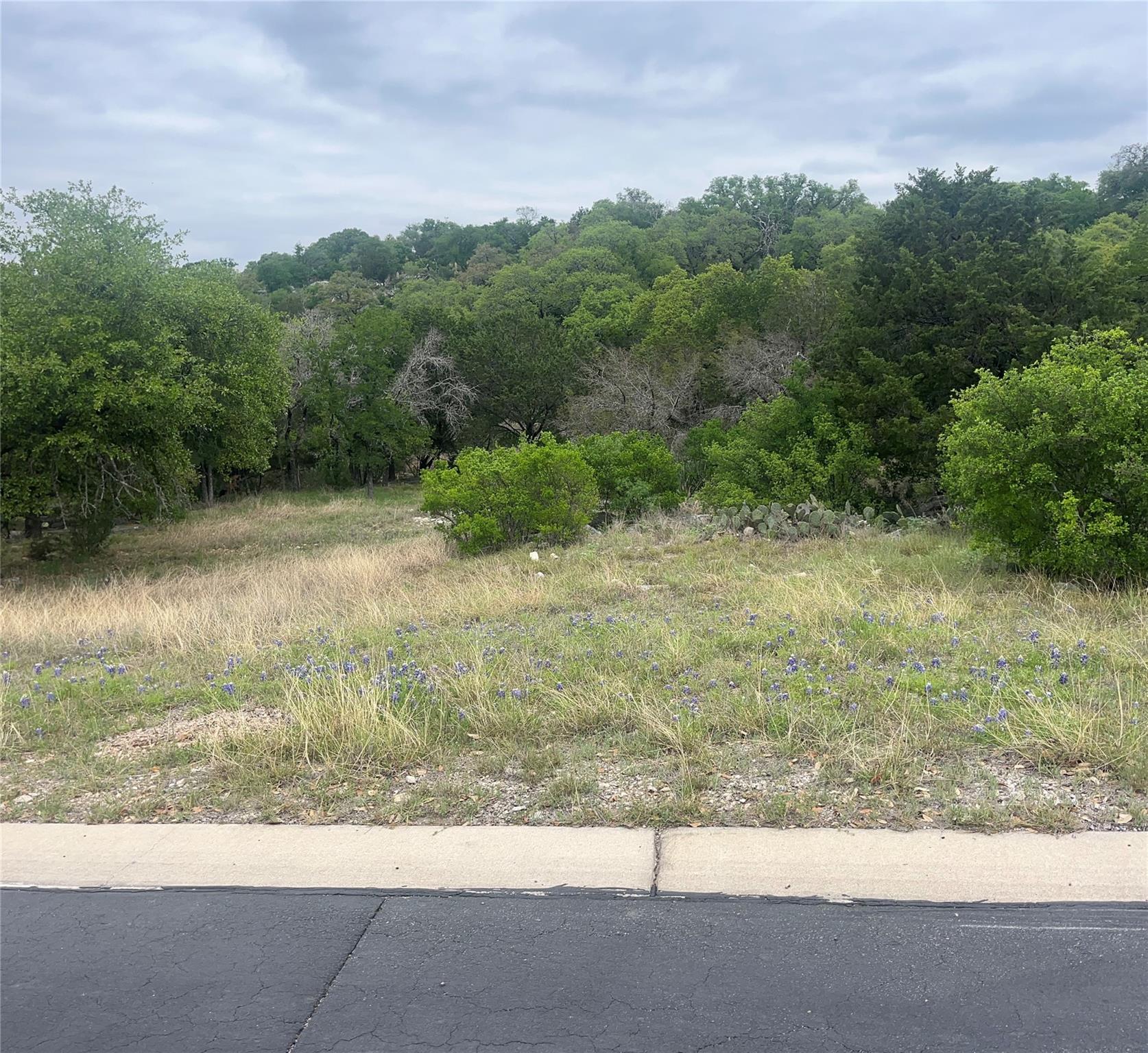 Lot 20179 Quick Draw, Horseshoe Bay, TX 78657 photo 2