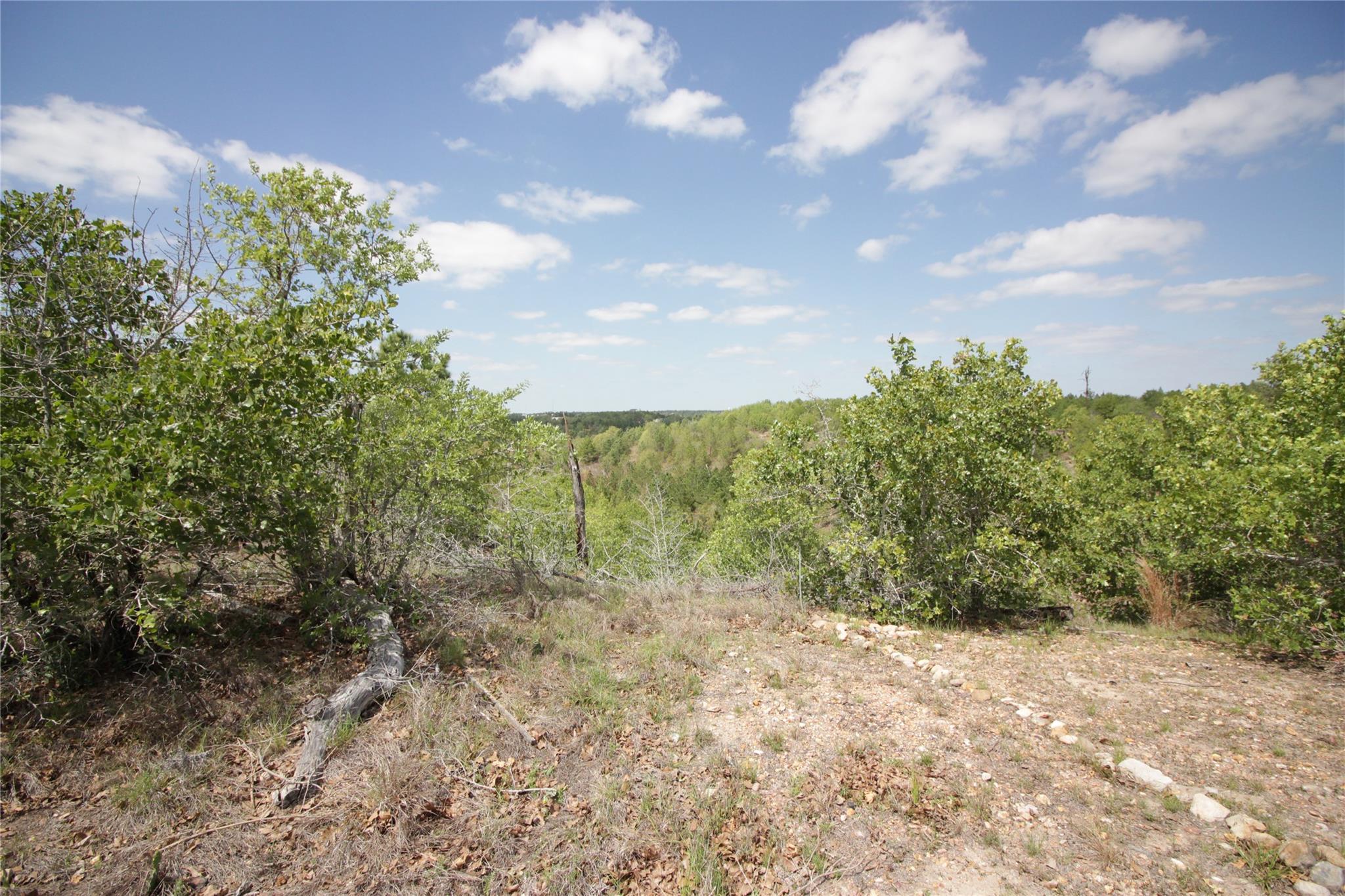 TBD River Forest DR, Bastrop, TX 78602 photo 2