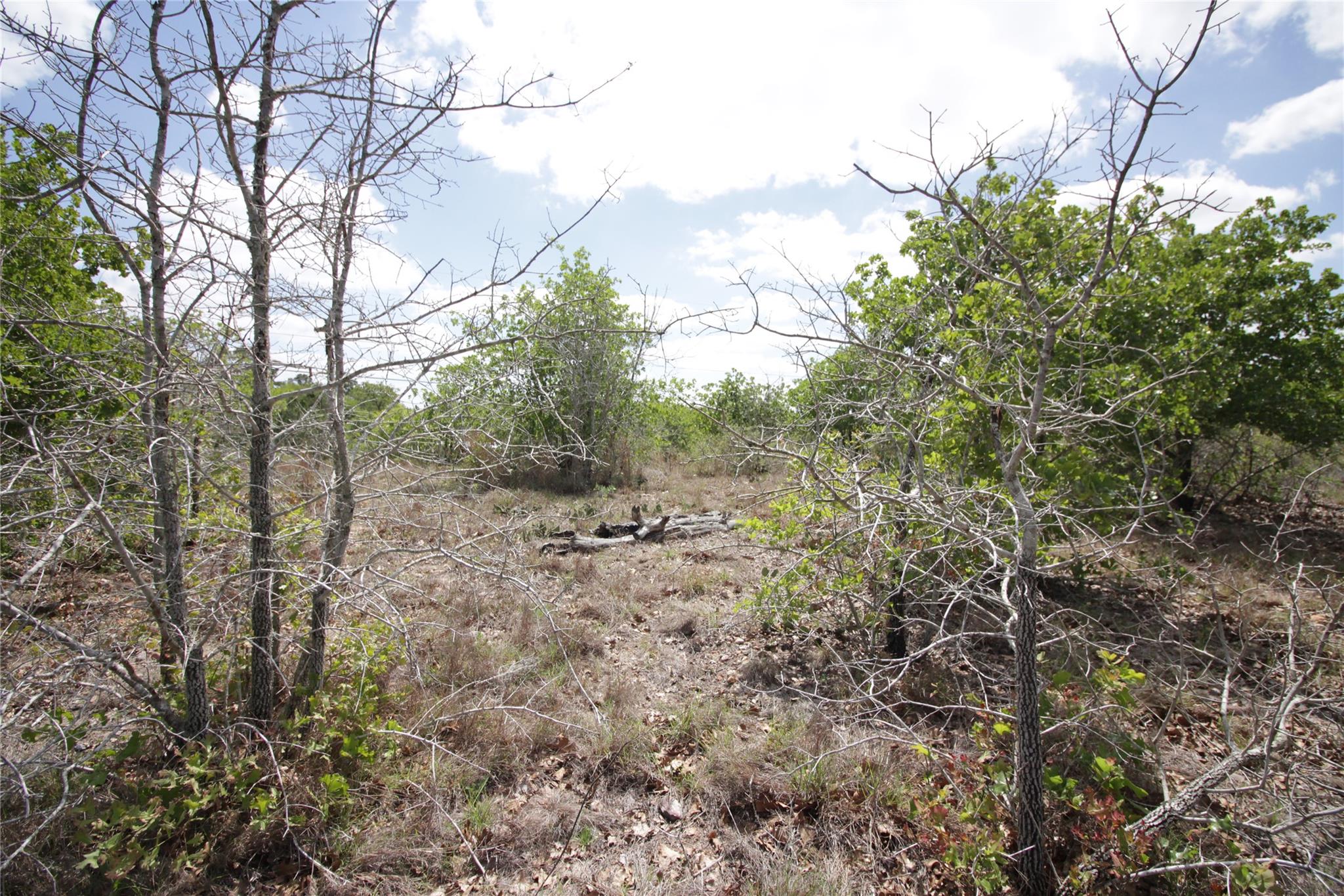 TBD River Forest DR, Bastrop, TX 78602 photo 3