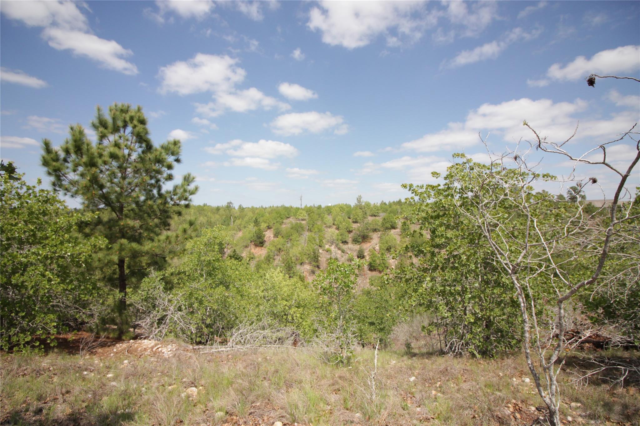 TBD River Forest DR, Bastrop, TX 78602 photo 5