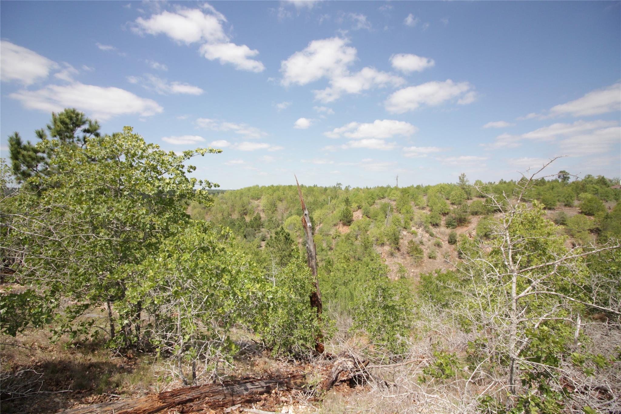 TBD River Forest DR, Bastrop, TX 78602 photo 4