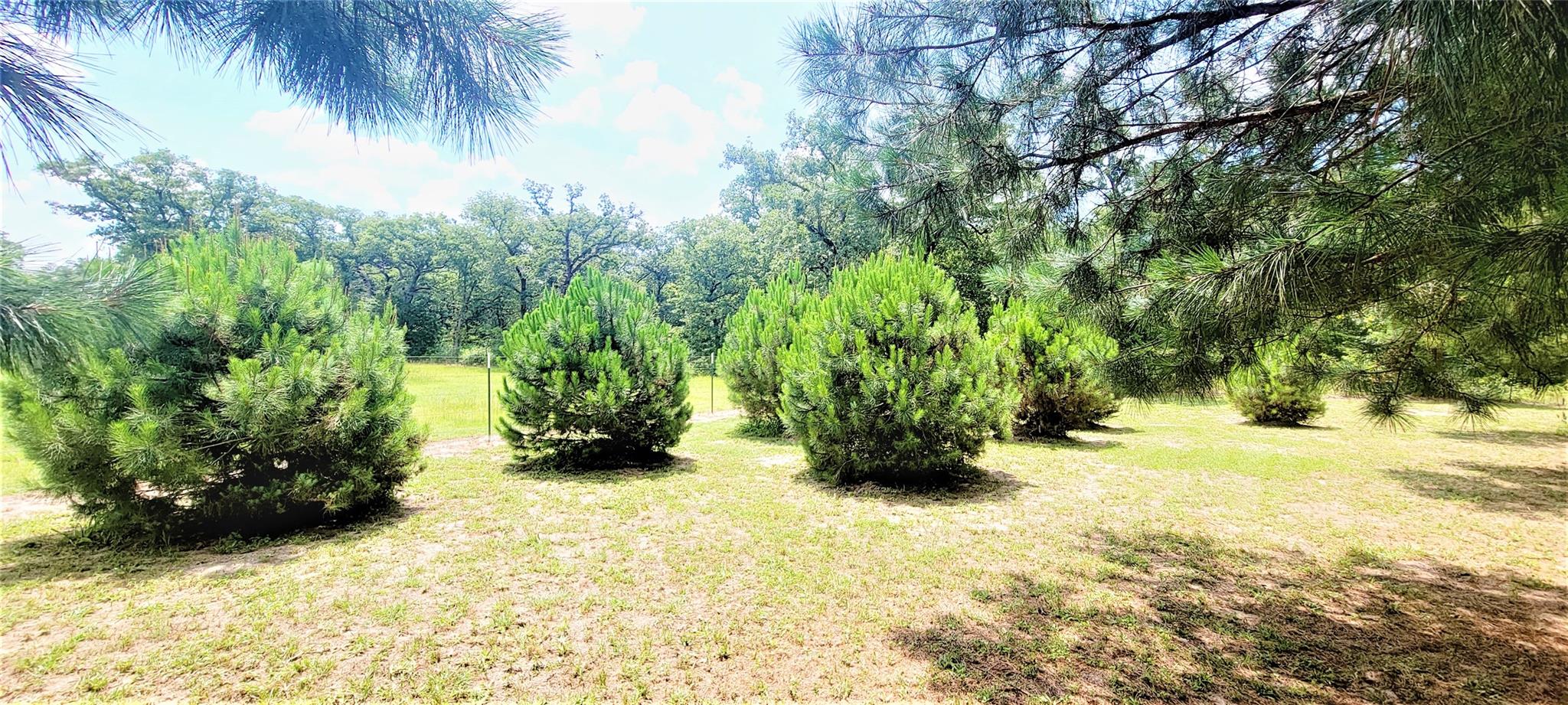 3321 County Road 457, Thorndale, TX 76577 photo 4