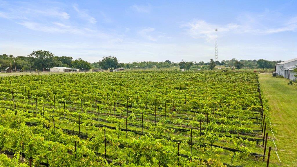 315 Ranch Road 1376, Fredericksburg, TX 78624 photo 3