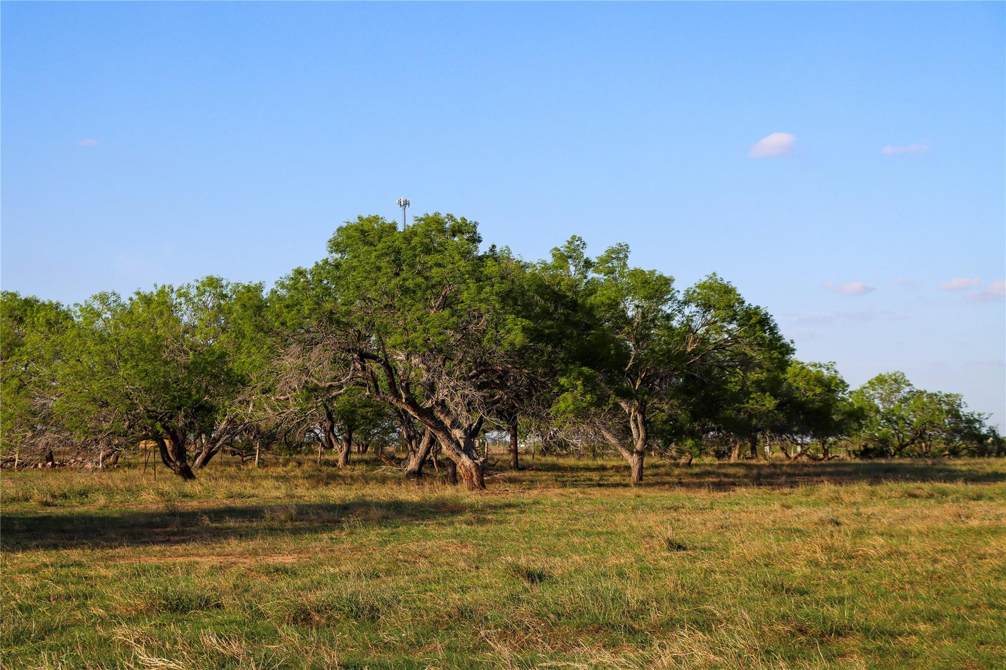 Tract 3 28.92 AC State Highway 87, Nixon, TX 78140 photo 4