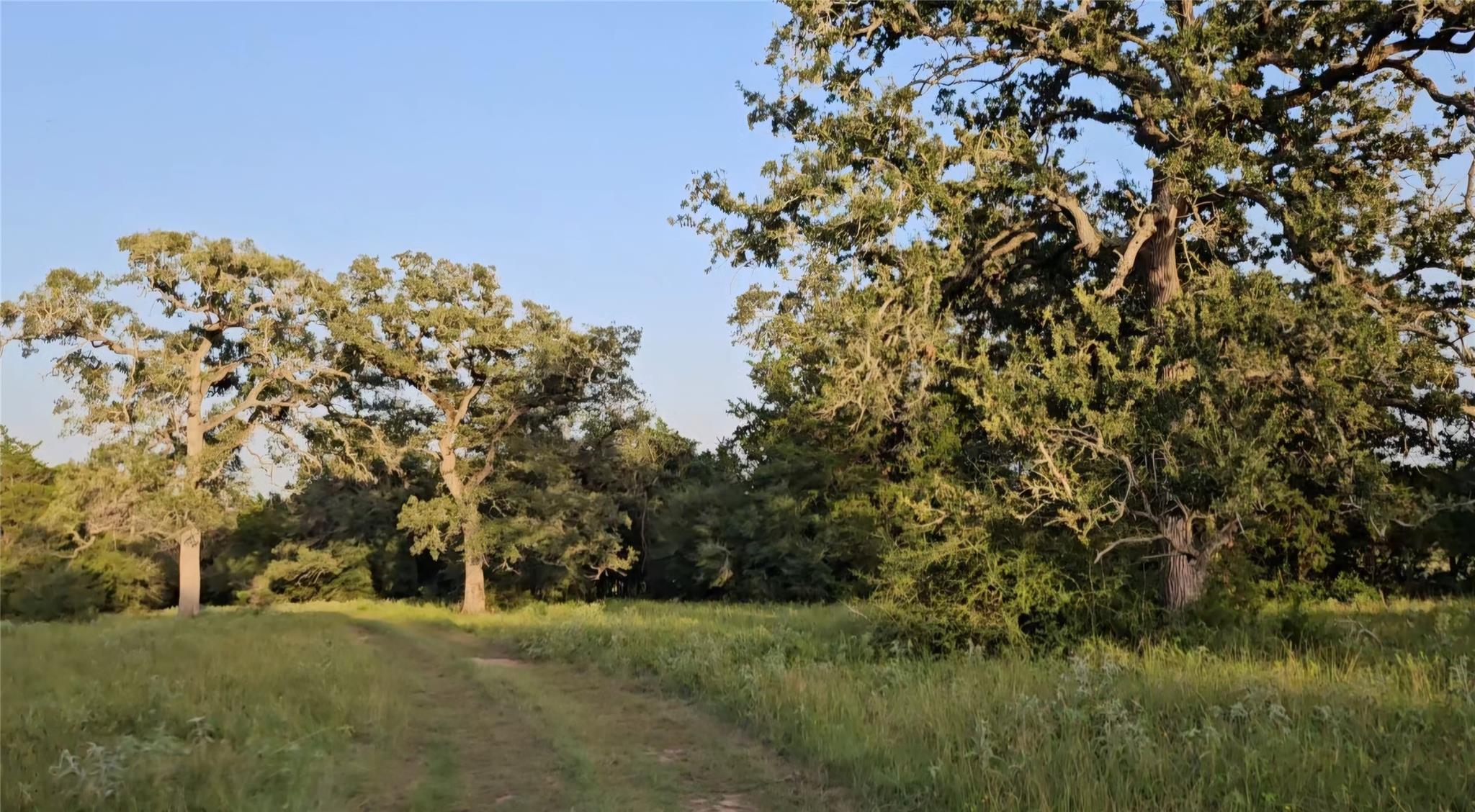 Ranch Land Easley RD, Smithville, TX 78957 photo 2