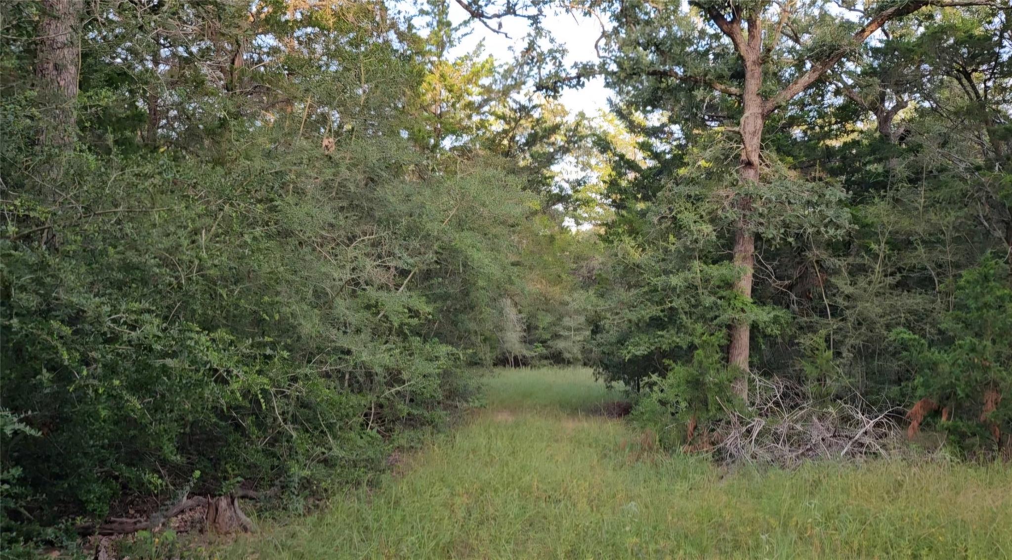 Ranch Land Easley RD, Smithville, TX 78957 photo 3