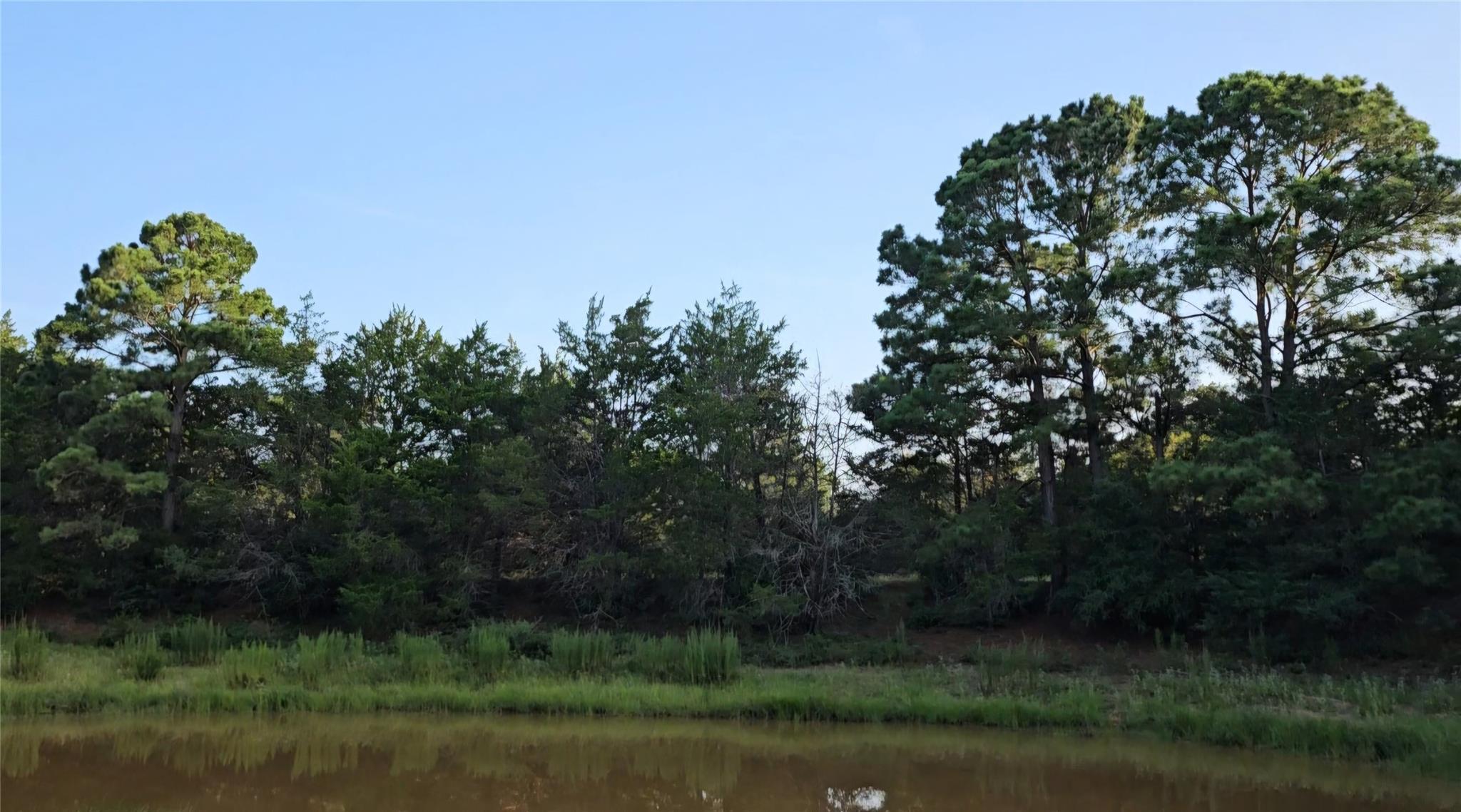 Ranch Land Easley RD, Smithville, TX 78957 photo 5