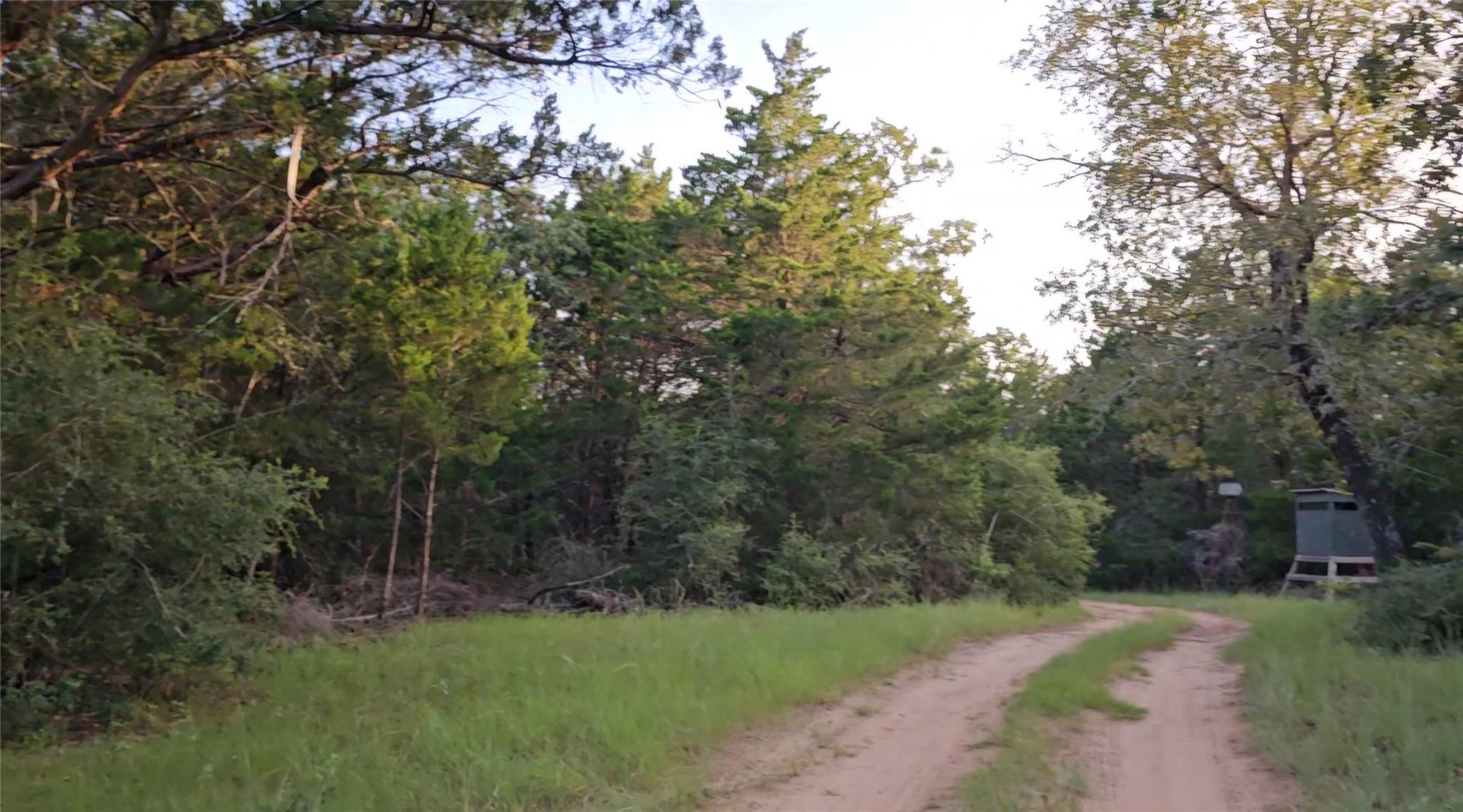 Ranch Land Easley RD, Smithville, TX 78957 photo 4