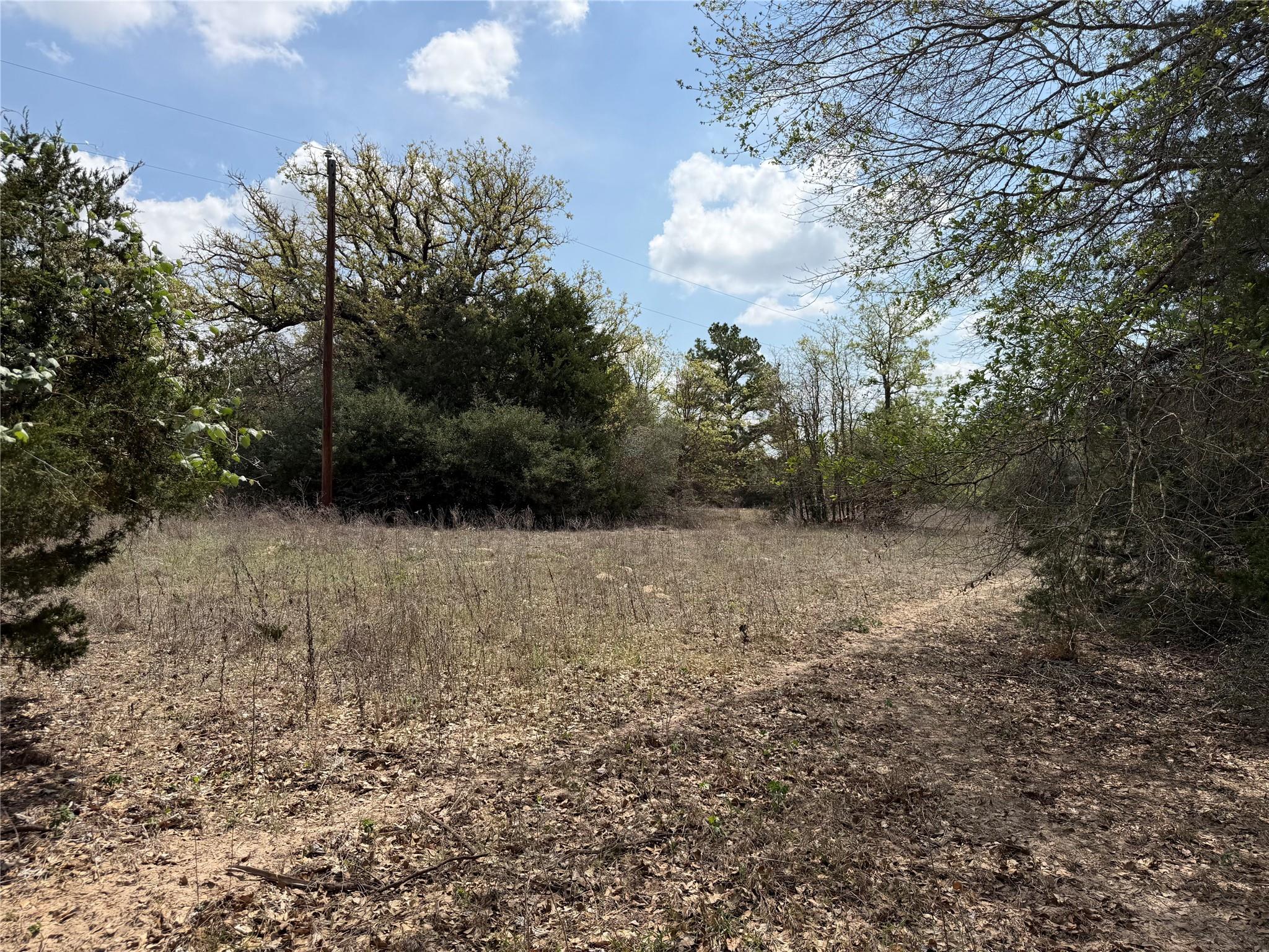 118 Edmonson Ranch RD, McDade, TX 78650 photo 2