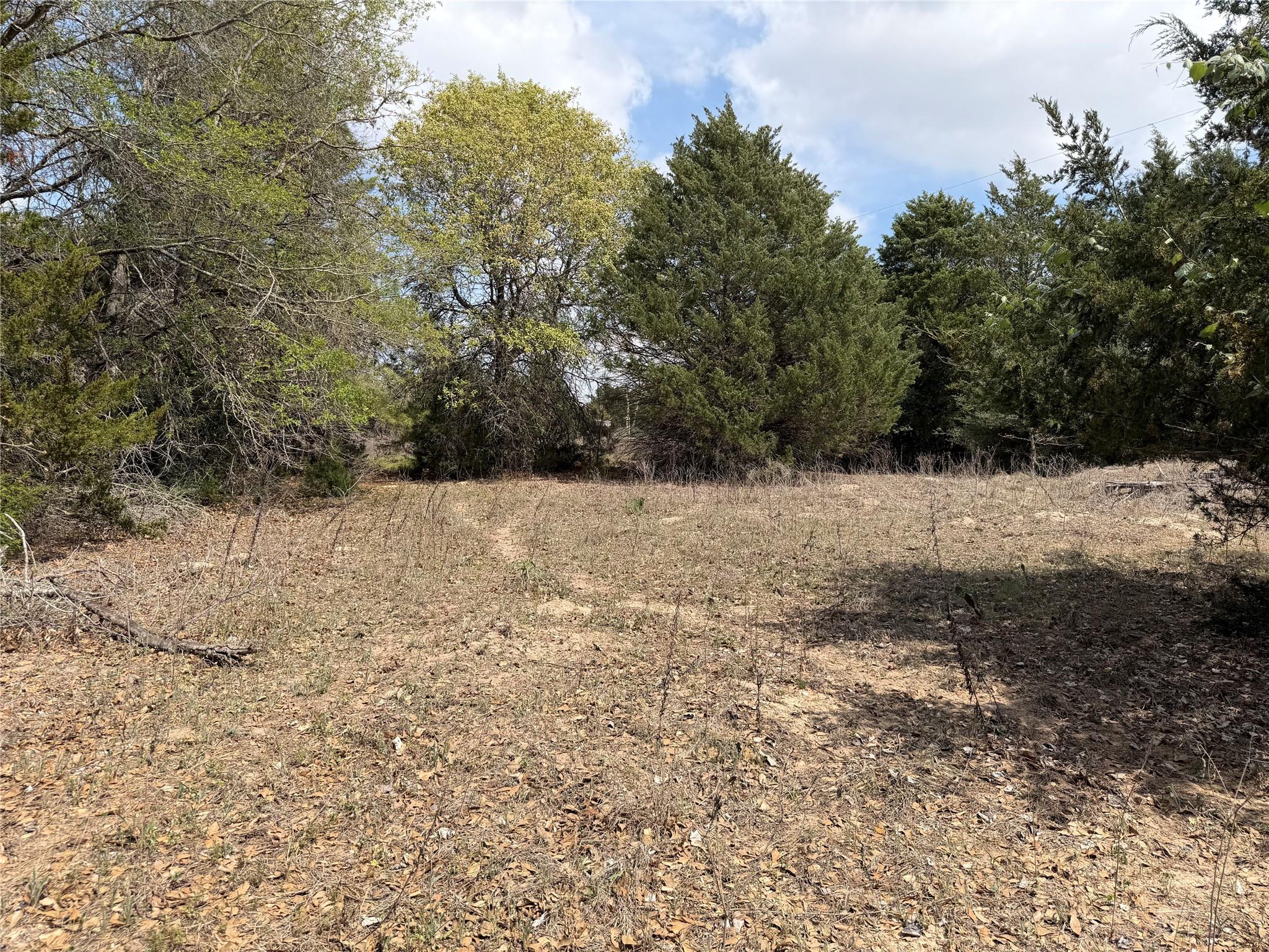 118 Edmonson Ranch RD, McDade, TX 78650 photo 3