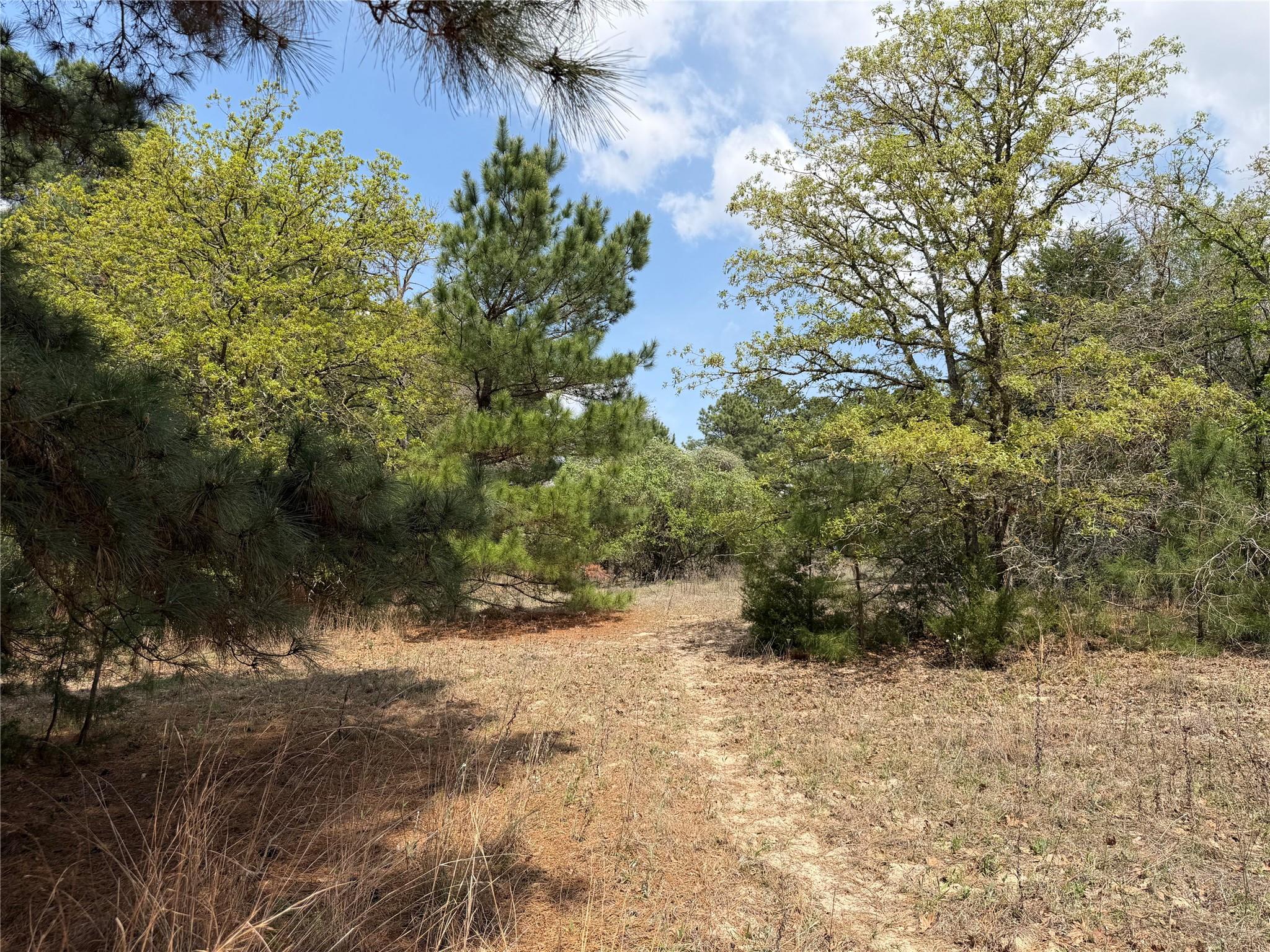 118 Edmonson Ranch RD, McDade, TX 78650 photo 5