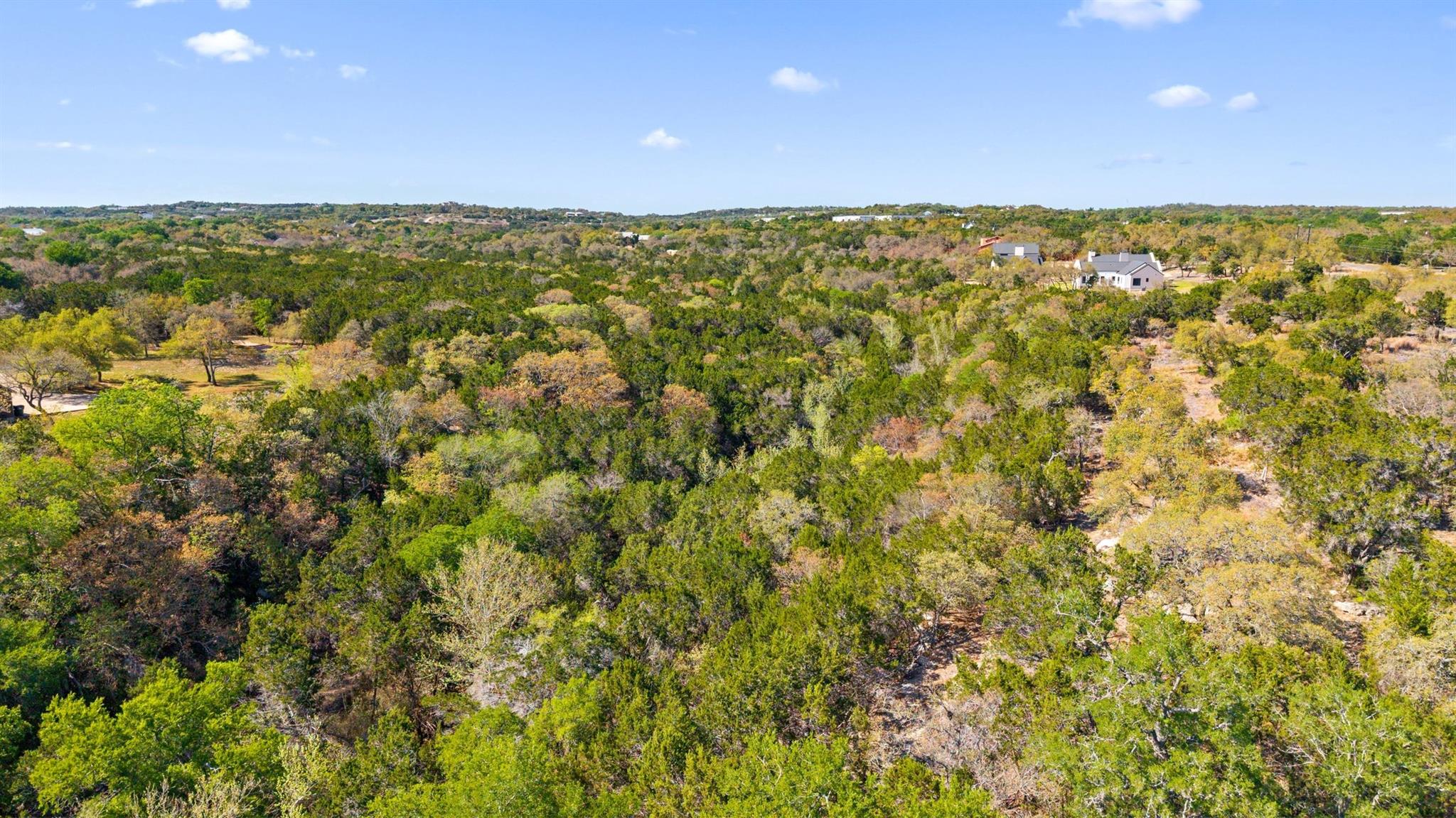 12136 Fitzhugh PL, Dripping Springs, TX 78620 photo 4