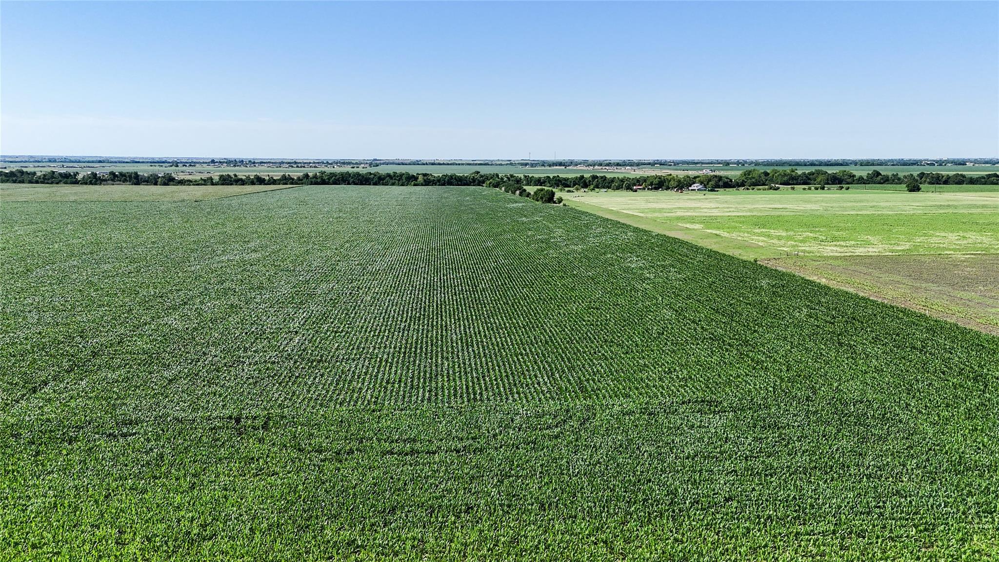 0 County Road 405, Taylor, TX 76574 photo 5
