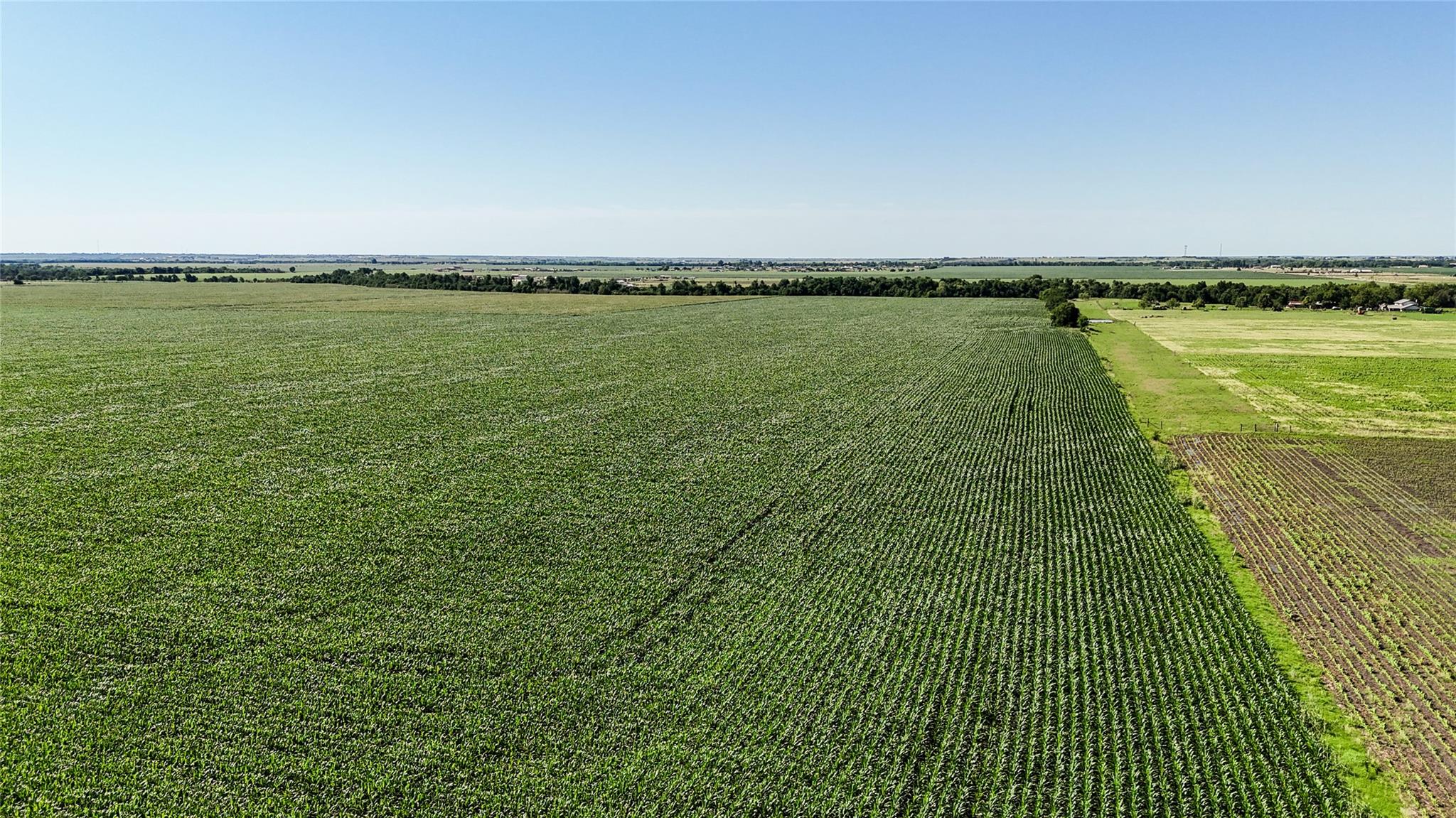 0 County Road 405, Taylor, TX 76574 photo 4