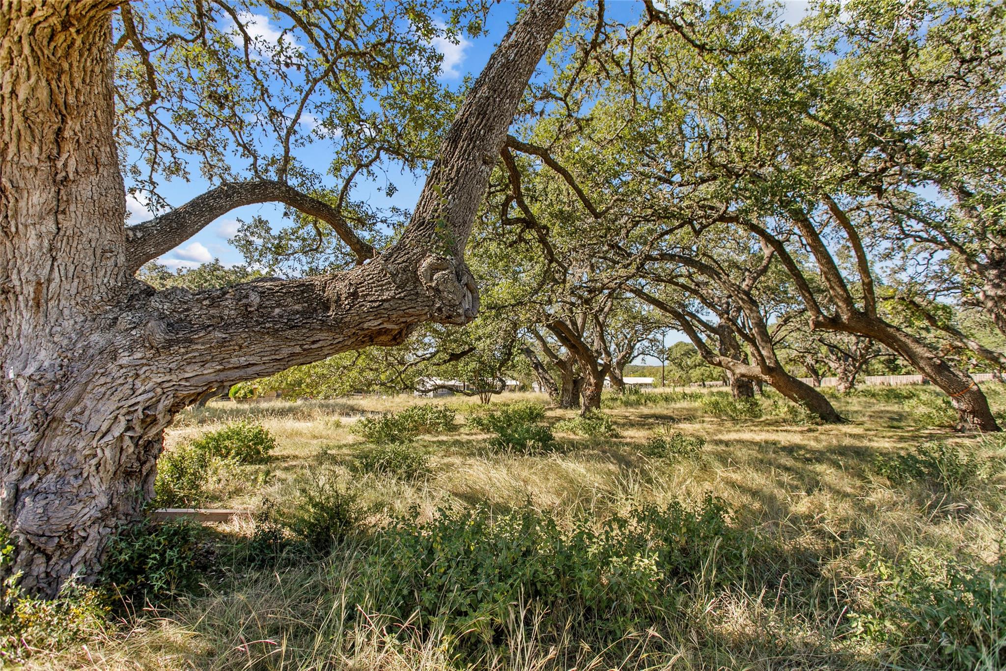 1316 Greenlawn PKWY, Blanco, TX 78606 photo 2