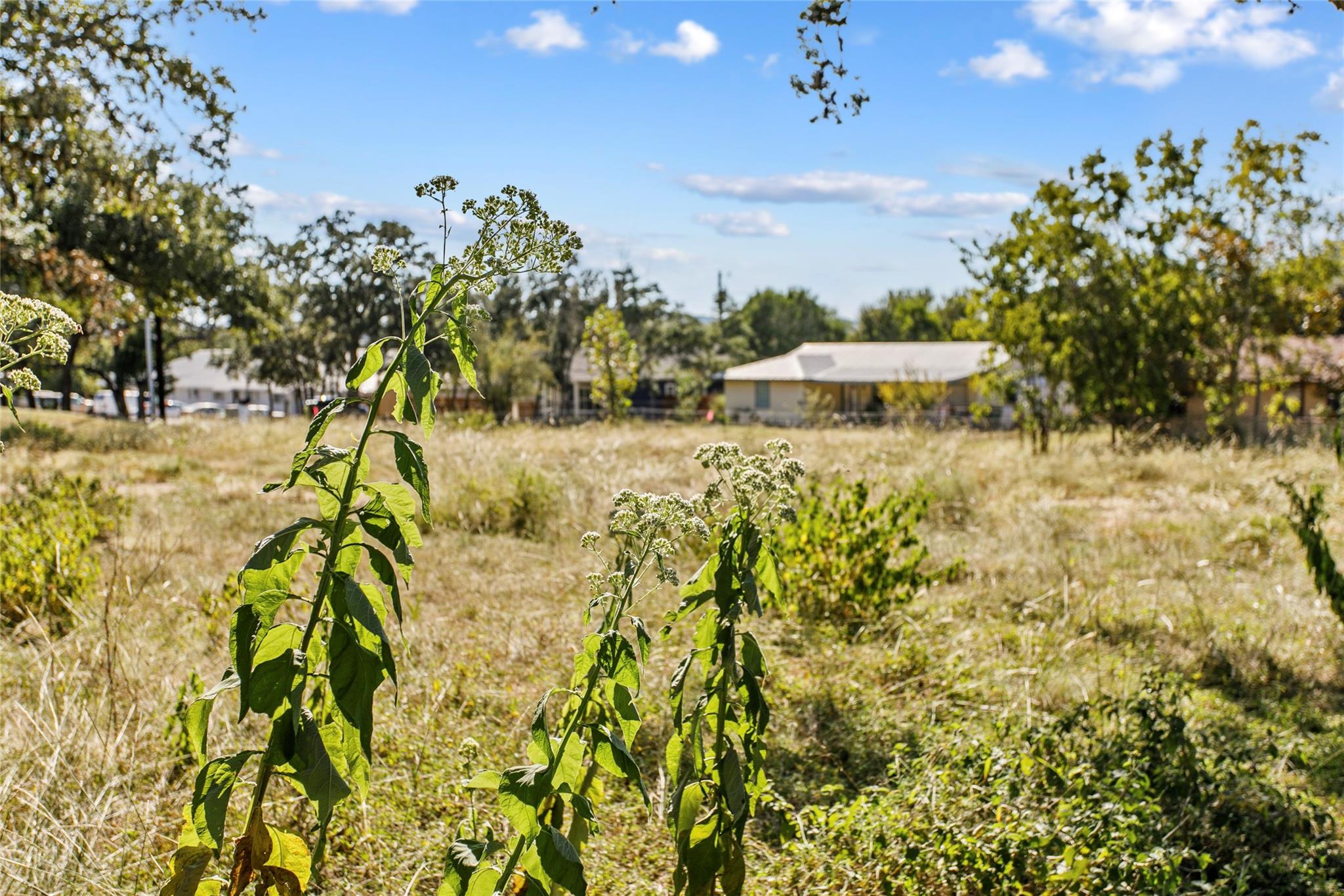 1316 Greenlawn PKWY, Blanco, TX 78606 photo 4