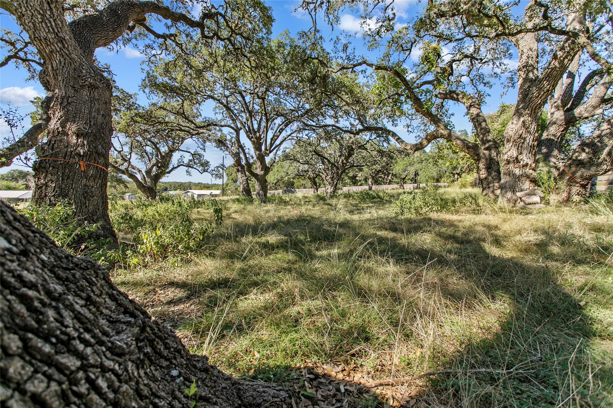 1410 Greenlawn PKWY, Blanco, TX 78606 photo 5