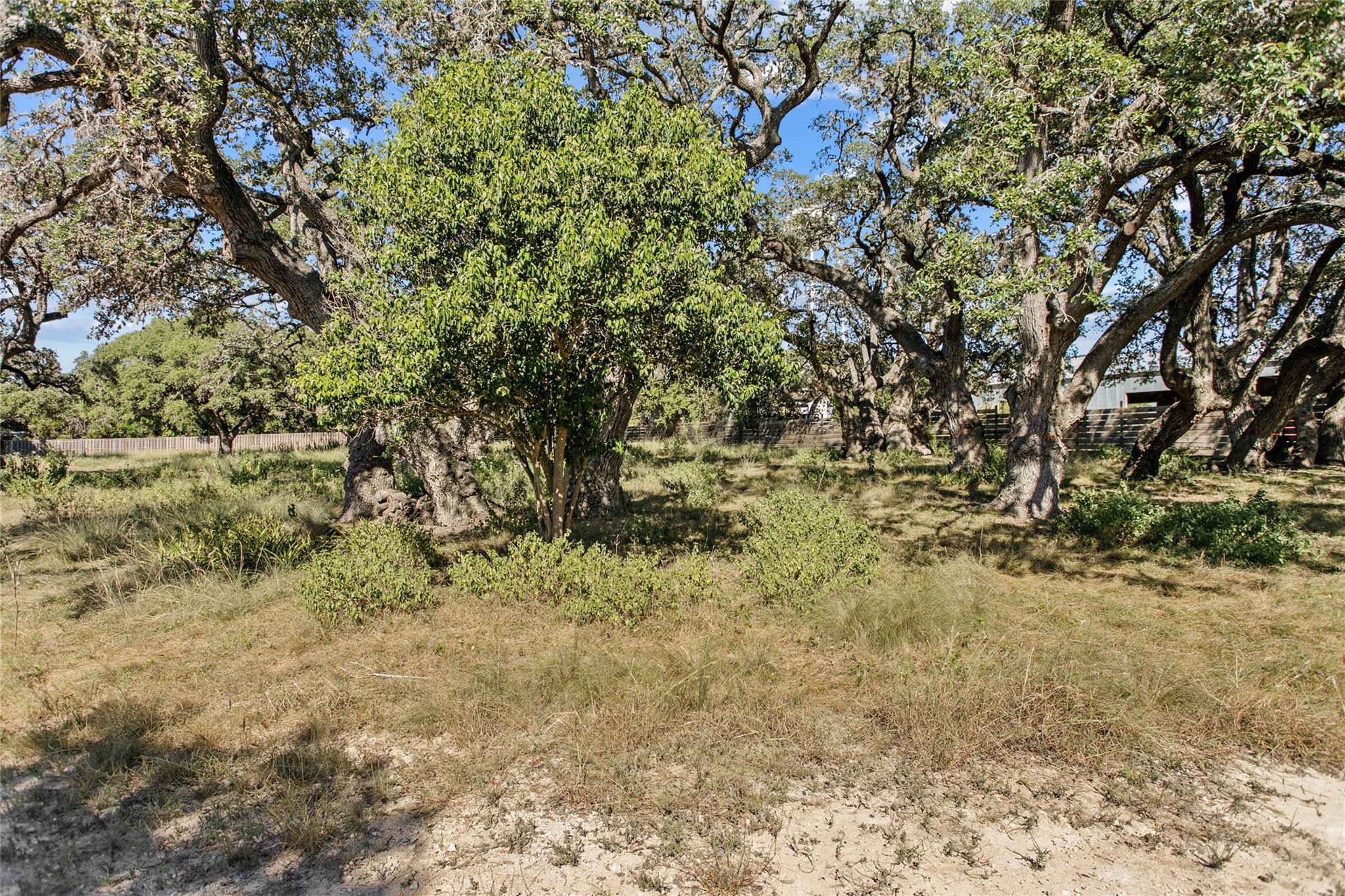 1400 Greenlawn PKWY, Blanco, TX 78606 photo 5