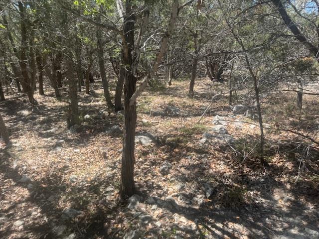 1381 Western Skies DR, Spring Branch, TX 78070 photo 2