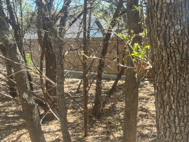 1381 Western Skies DR, Spring Branch, TX 78070 photo 5