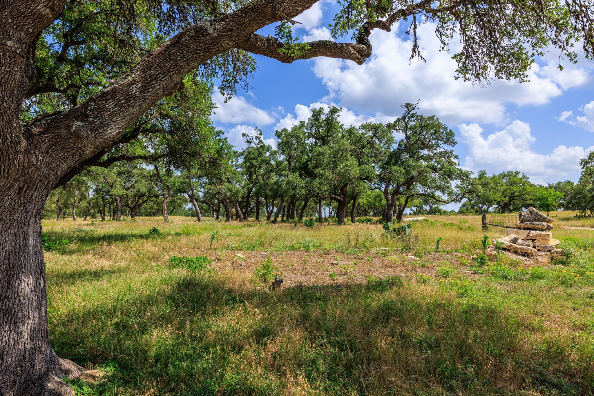N/A Lone Man Mountain RD, Wimberley, TX 78676 photo 4