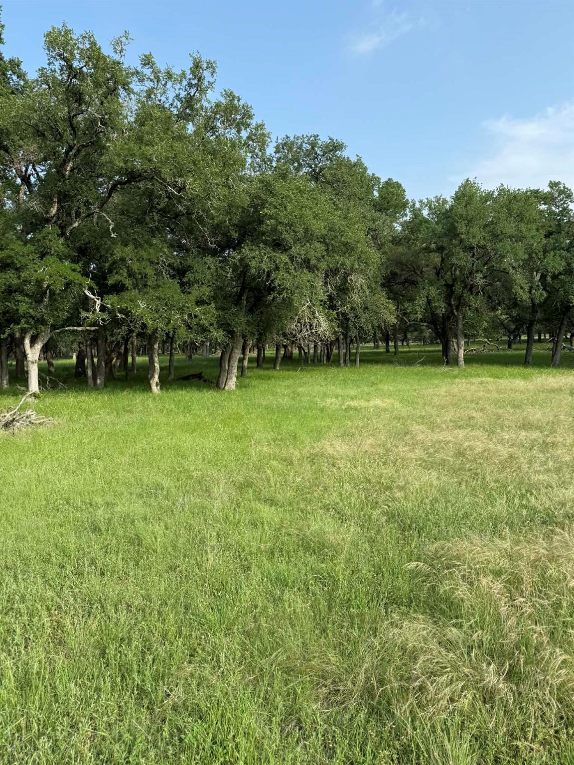 2251 County Road 234 LN, Georgetown, TX 78633 photo 2