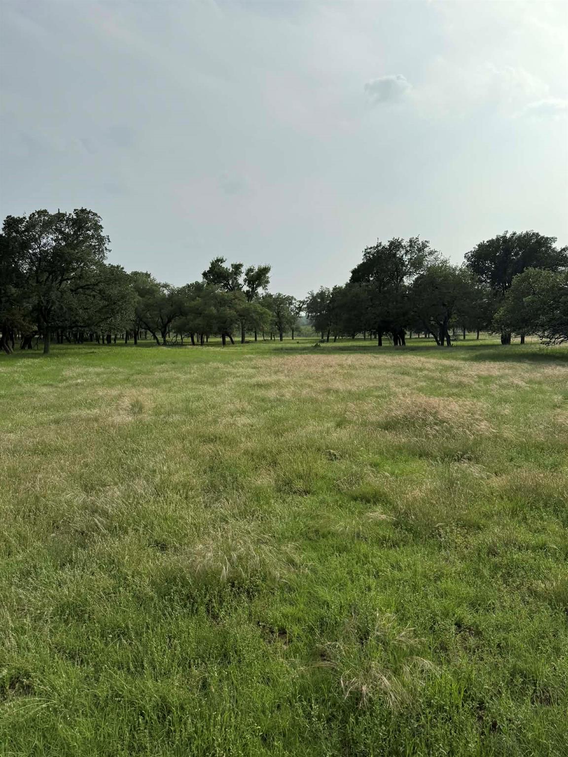 Liveoak Park