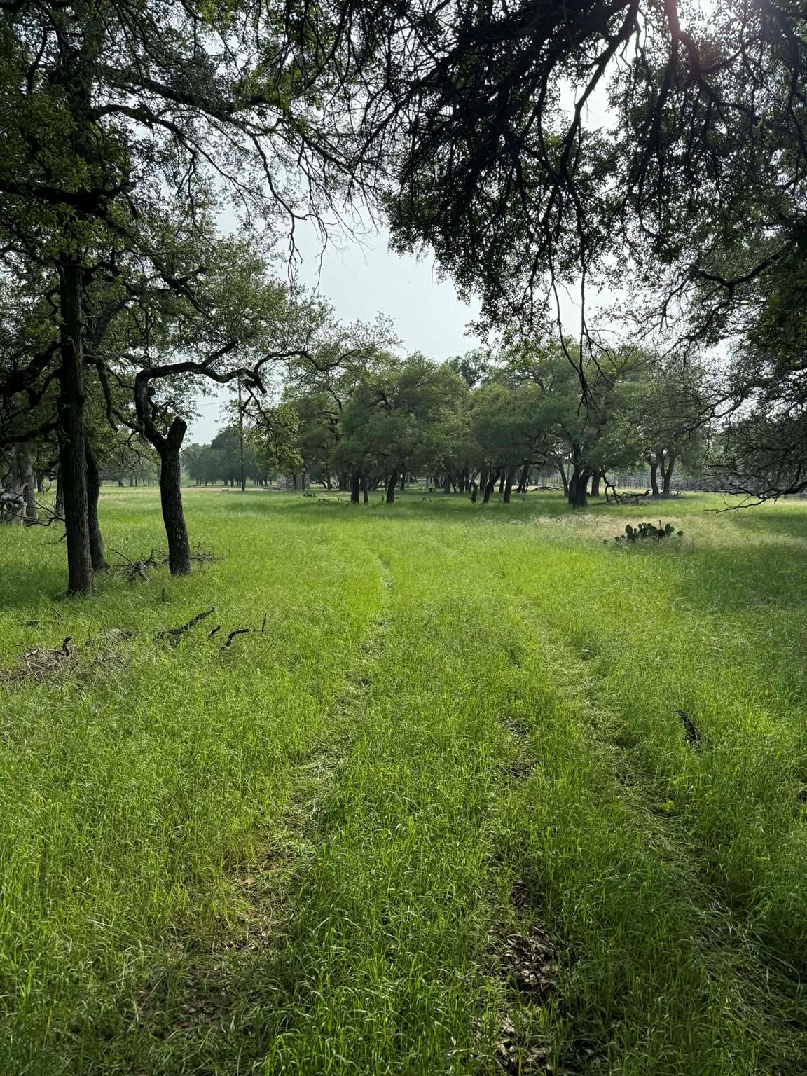 2251 County Road 234 LN, Georgetown, TX 78633 photo 5