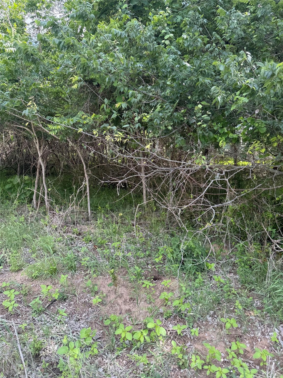 Lot 959 Riverside DR, Bastrop, TX 78602 photo 2