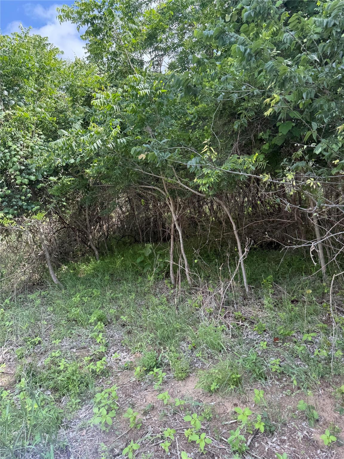 Lot 959 Riverside DR, Bastrop, TX 78602 photo 3