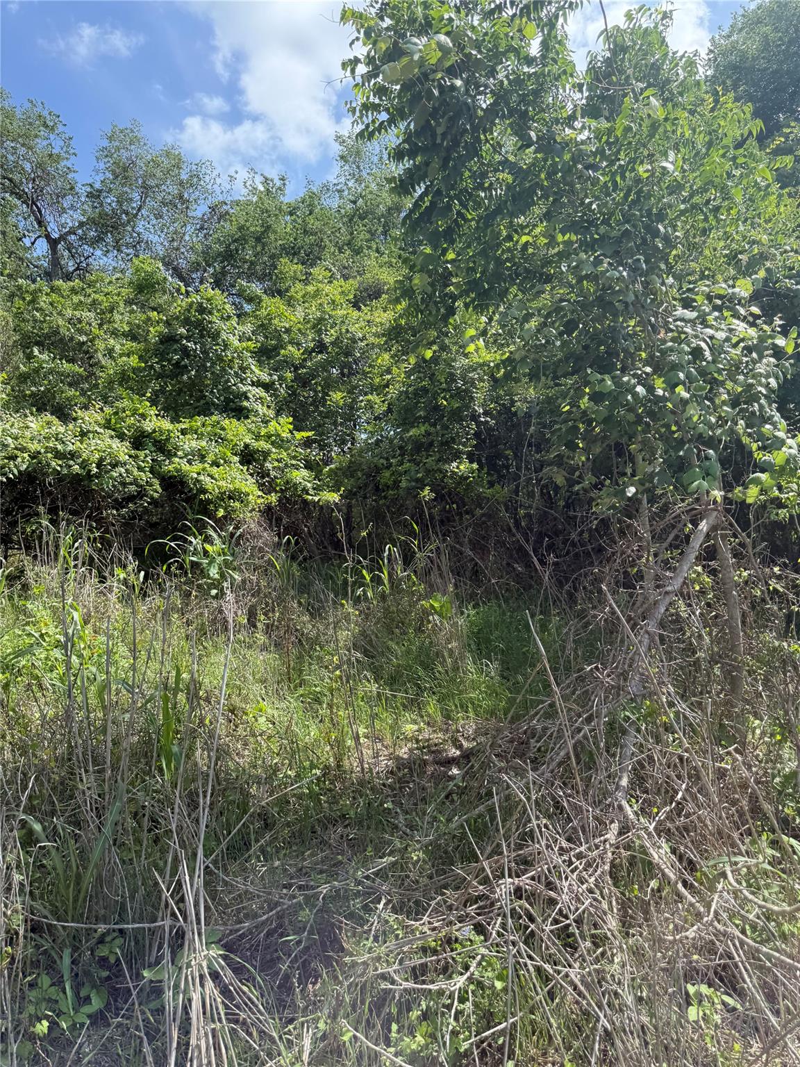 Lot 959 Riverside DR, Bastrop, TX 78602 photo 5