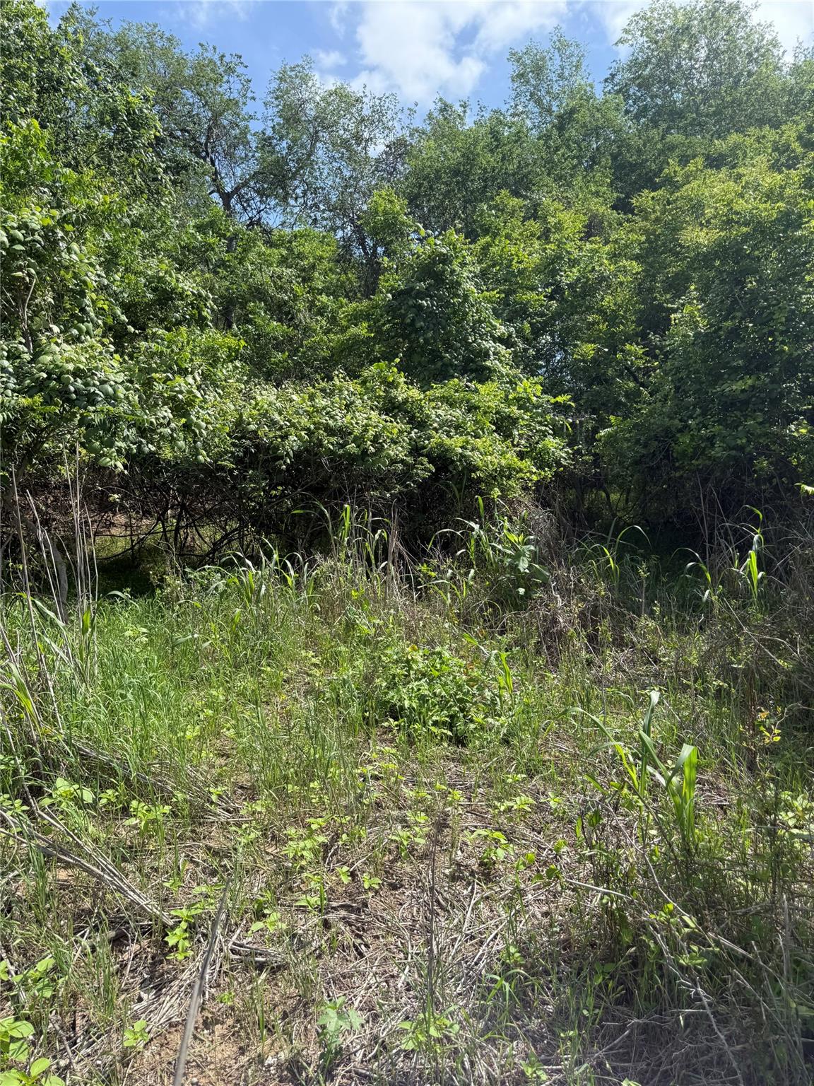Lot 959 Riverside DR, Bastrop, TX 78602 photo 4