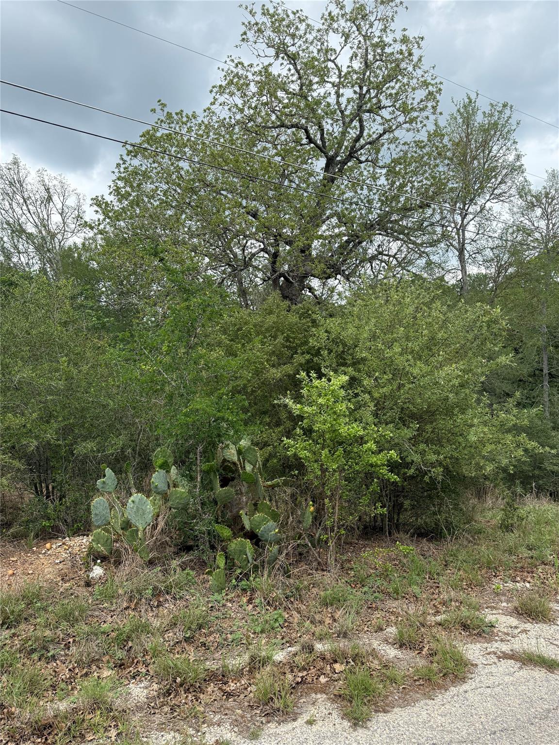 lot 69 Kaelepulu DR, Bastrop, TX 78602 photo 3