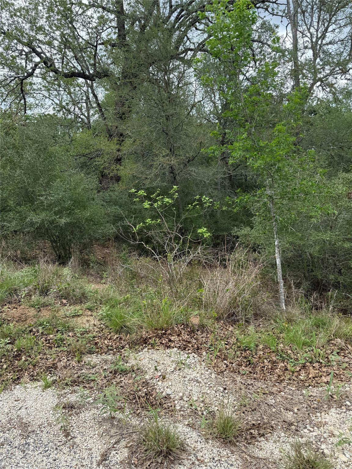 lot 69 Kaelepulu DR, Bastrop, TX 78602 photo 4