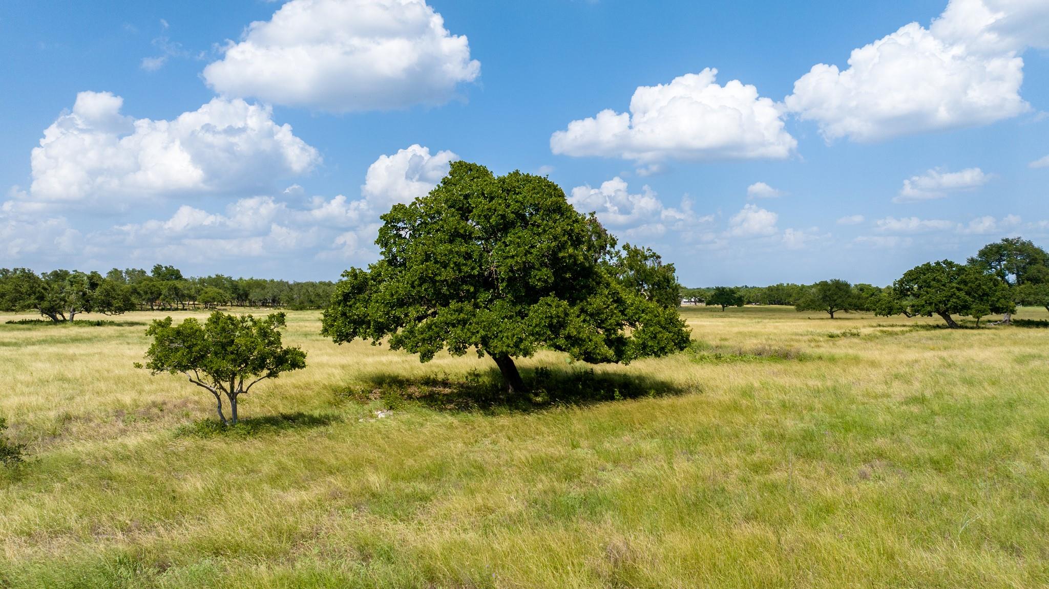 0 Lone Man Mountain RD, Wimberley, TX 78676 photo 2