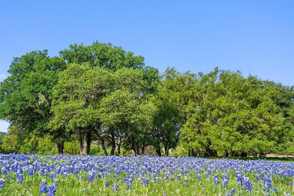 Barton Creek Lakeside