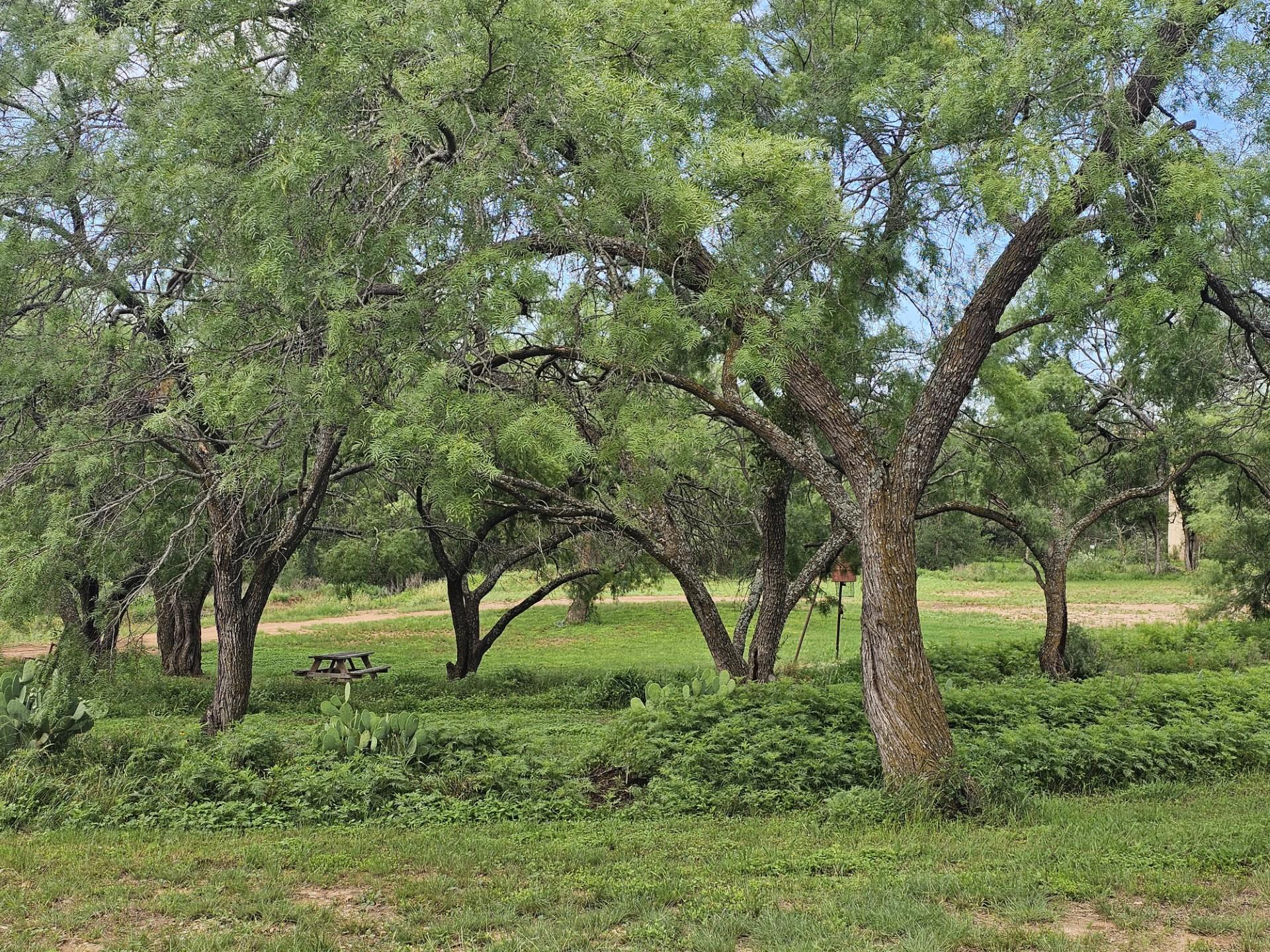 441 County Road 433, Mullin, TX 76864 photo 4