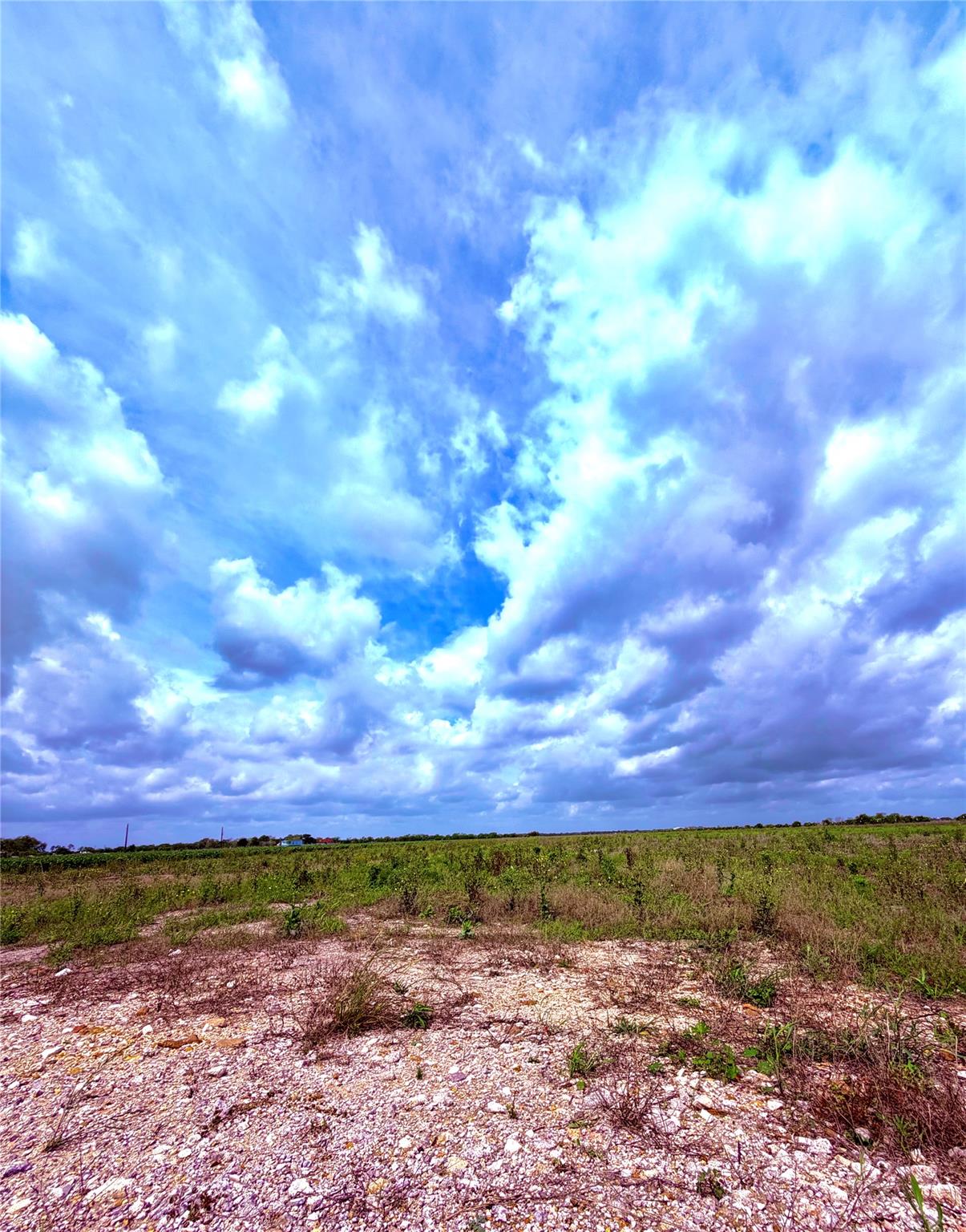 4421 Polak Rd RD, Orchard, TX 77485 photo 3