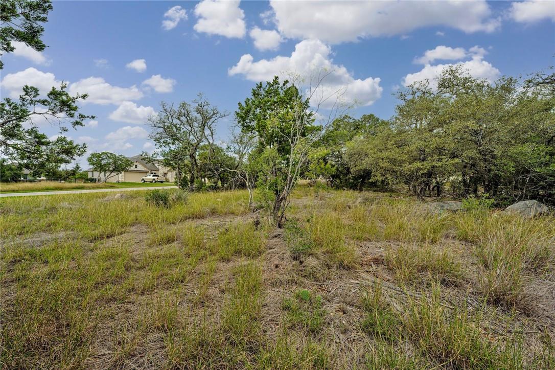 104 Rocky Summit CT, Spicewood, TX 78669 photo 5