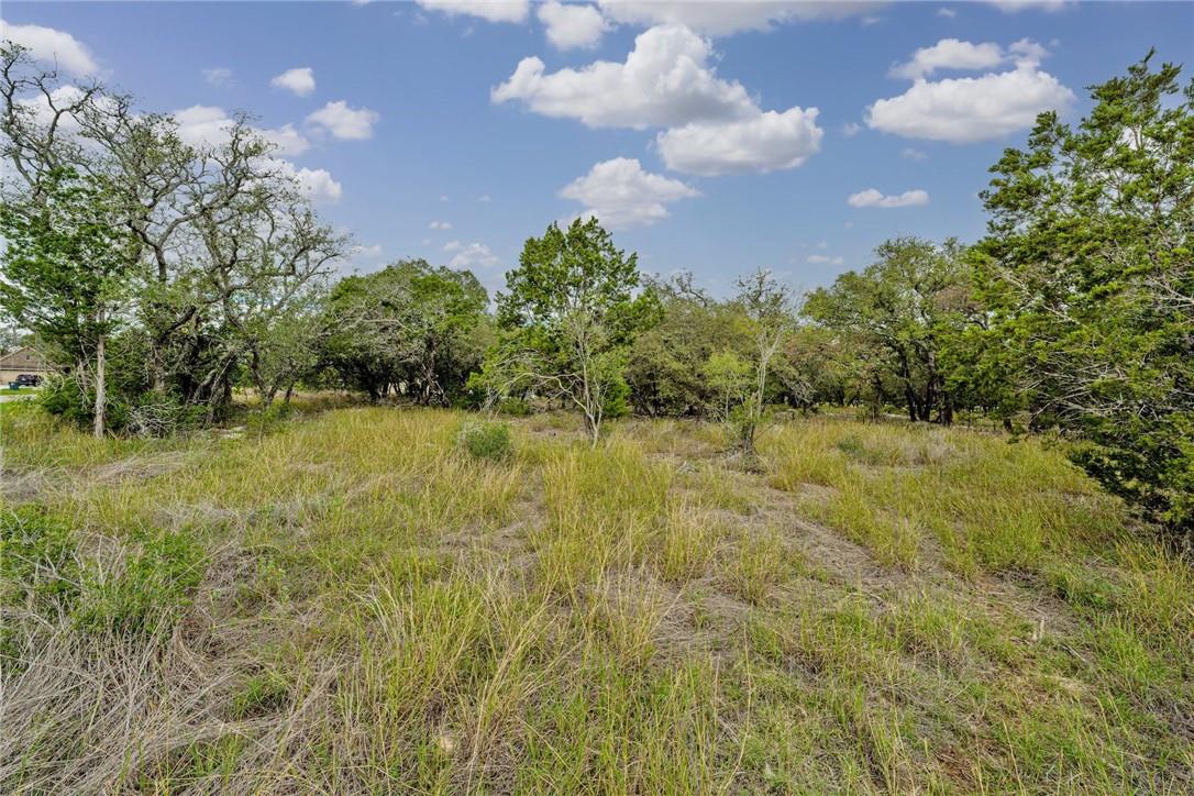 104 Rocky Summit CT, Spicewood, TX 78669 photo 4