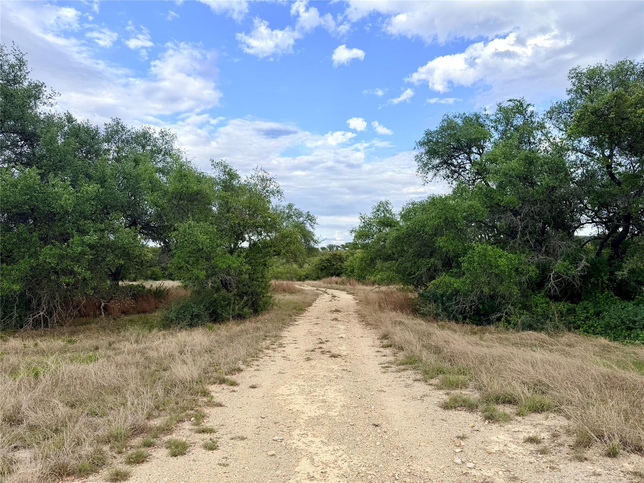 768 Walnut Springs RD, Johnson City, TX 78636 photo 4