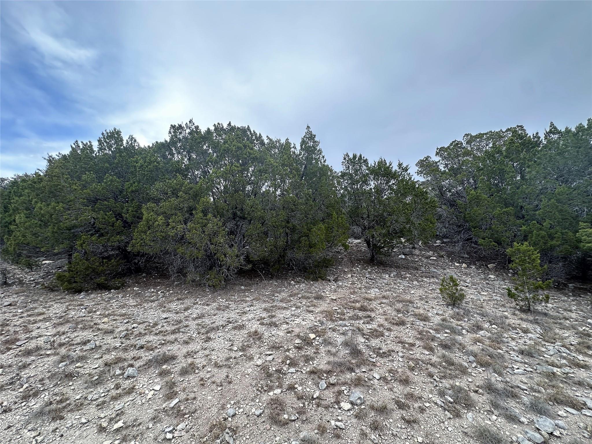 3105 Pilgrim CV, Leander, TX 78645 photo 3