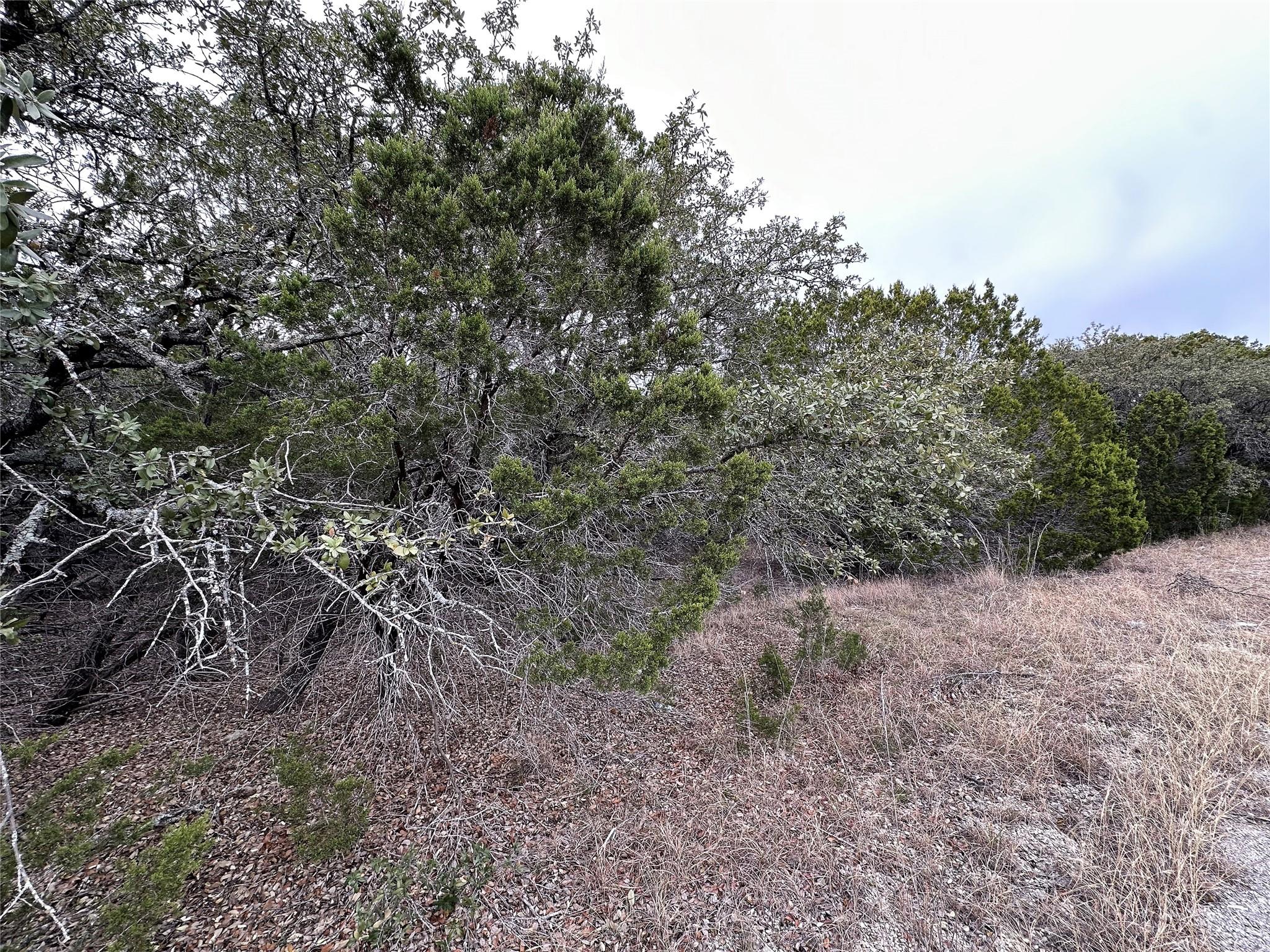 8446 Corral LN, Austin, TX 78745 photo 4
