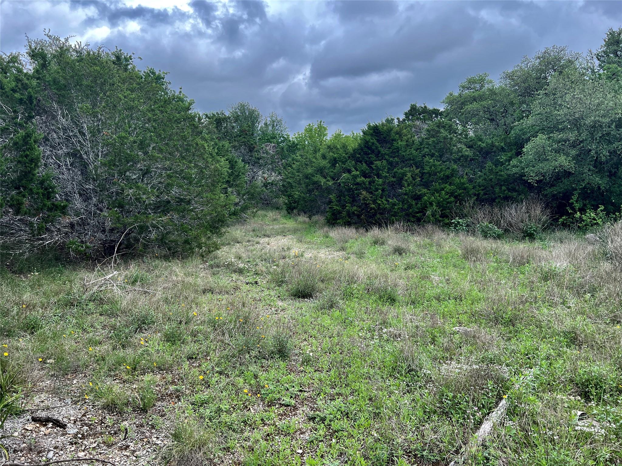 15006 PHEASANT LN, Austin, TX 78734 photo 2