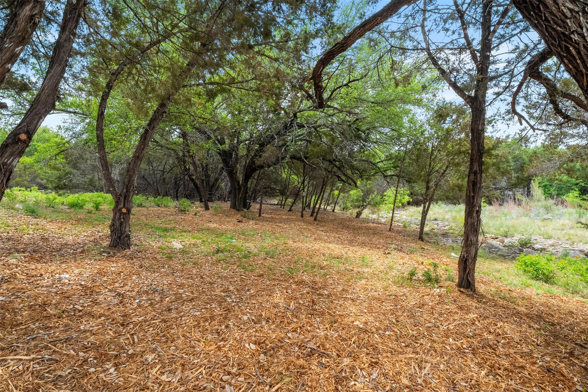 2901 Ticonderoga CV, Lago Vista, TX 78645 photo 4