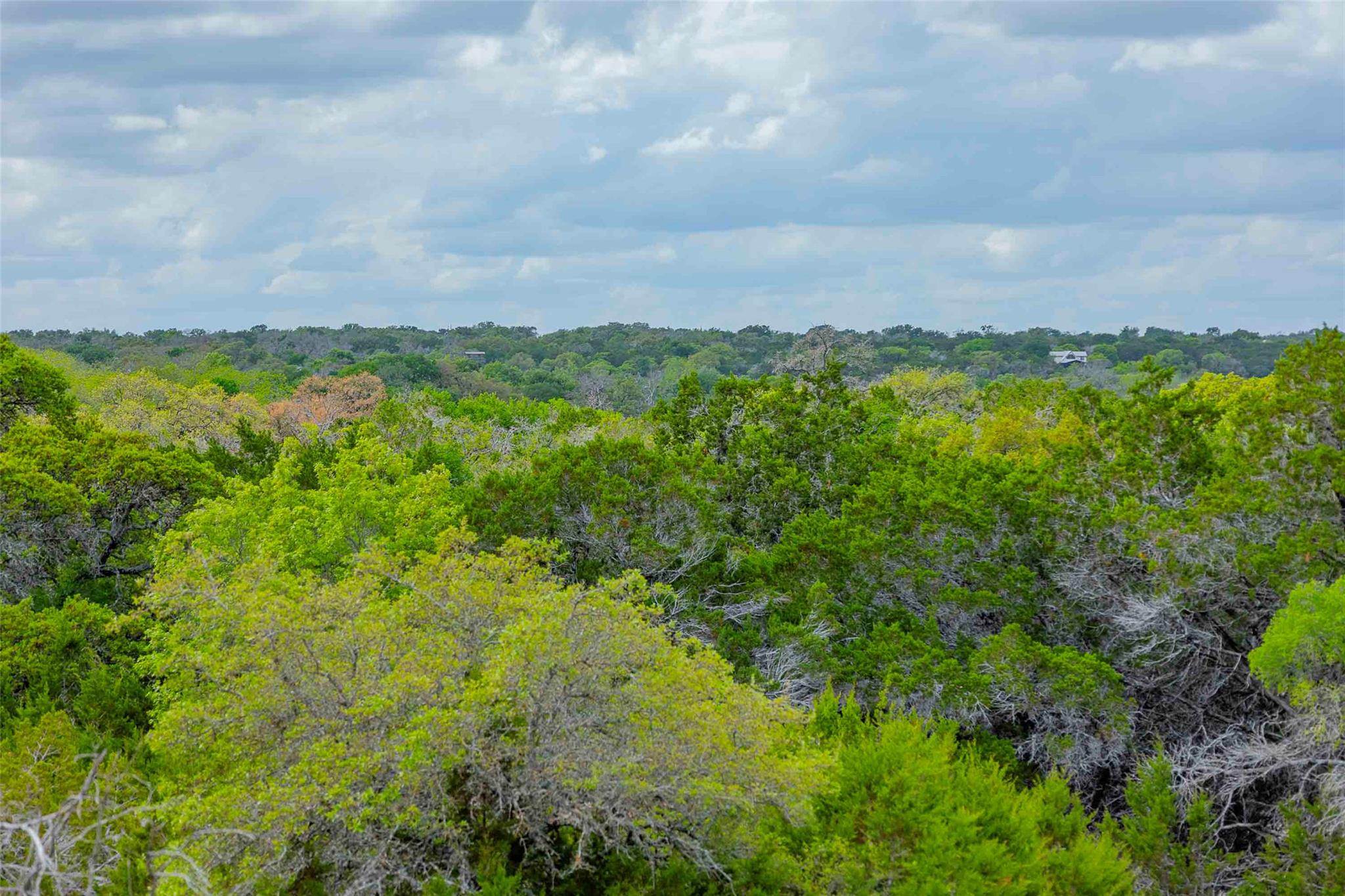 910 Abbey RD, Liberty Hill, TX 78642 photo 2