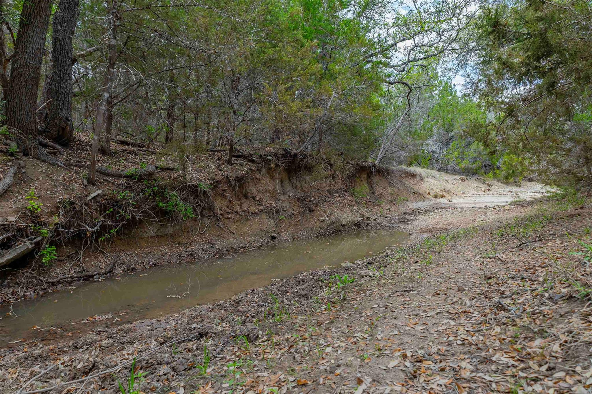 910 Abbey RD, Liberty Hill, TX 78642 photo 5