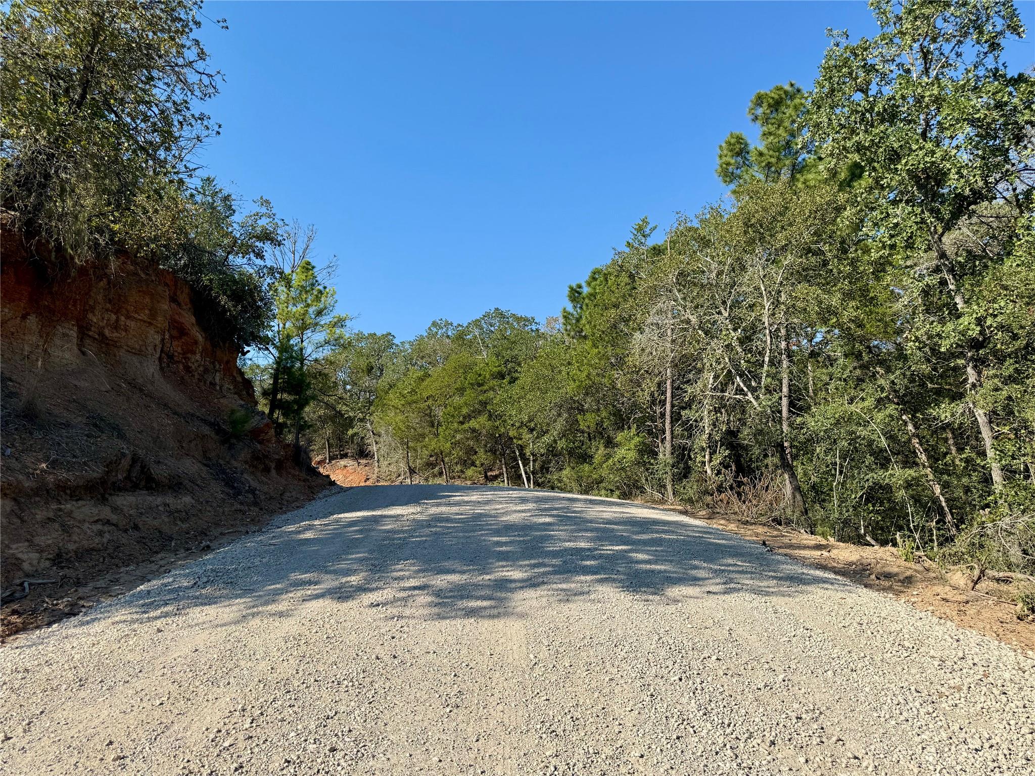 TBD Lot 1232 Hanauma DR, Bastrop, TX 78602 photo 3