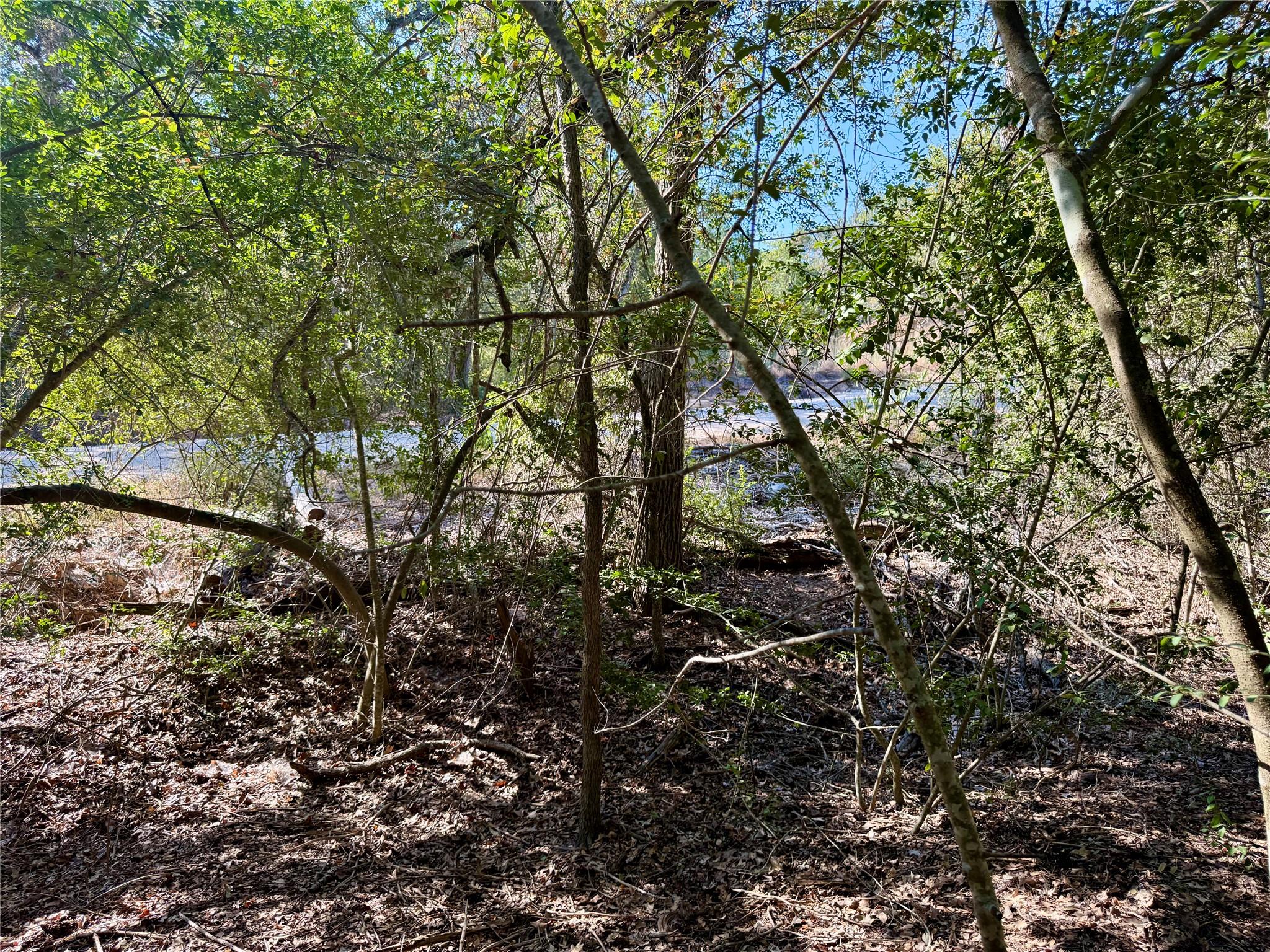 TBD Lot 1232 Hanauma DR, Bastrop, TX 78602 photo 5