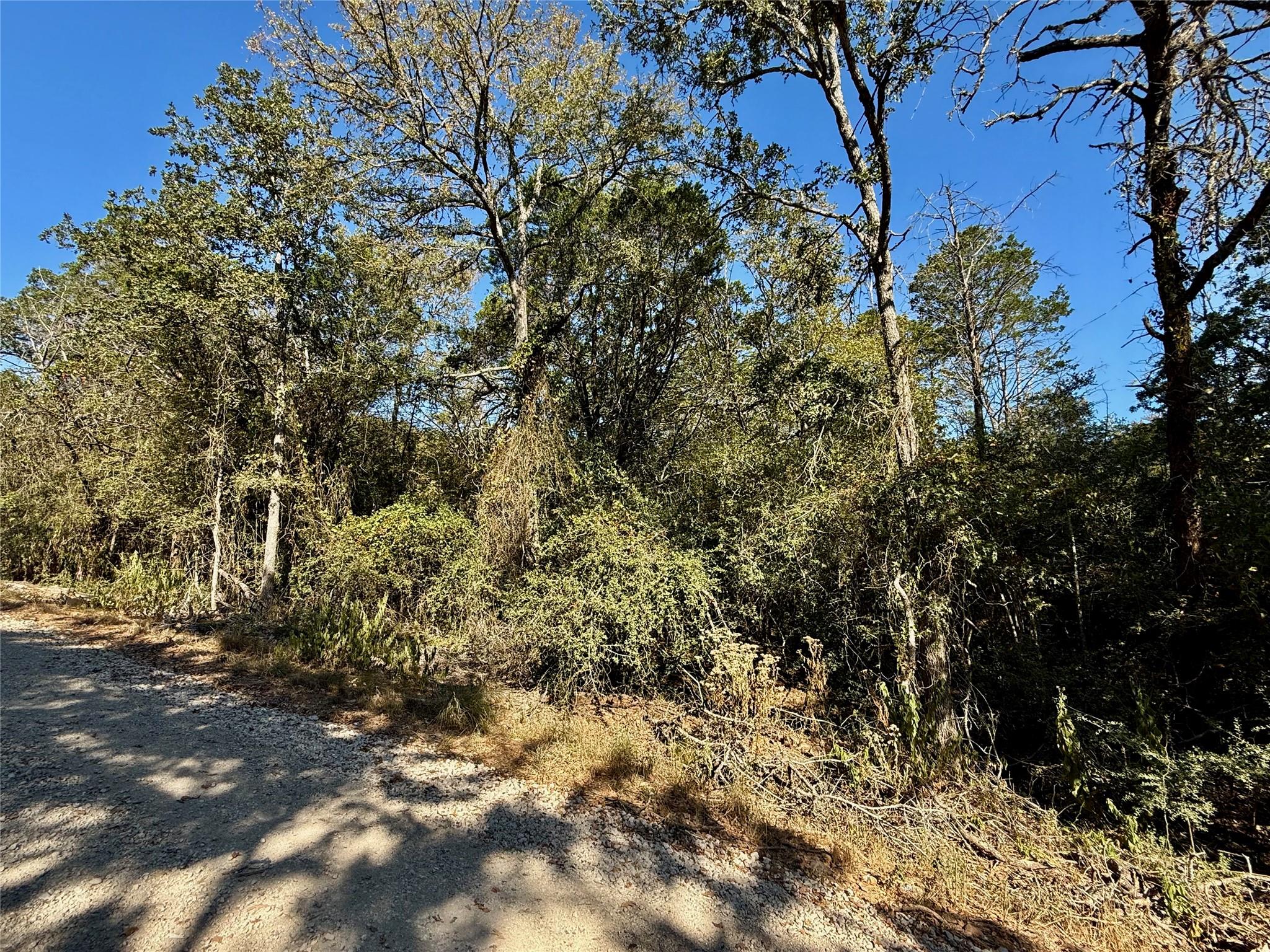 TBD Lot 1232 Hanauma DR, Bastrop, TX 78602 photo 4